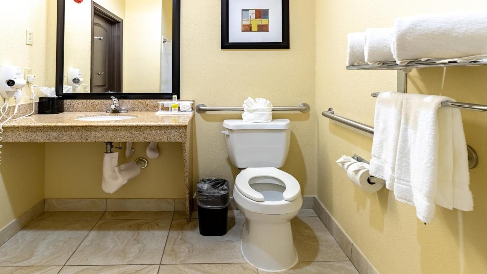 Holiday Inn Express & Suites Houston South - Near Pearland by IHG photo 37
