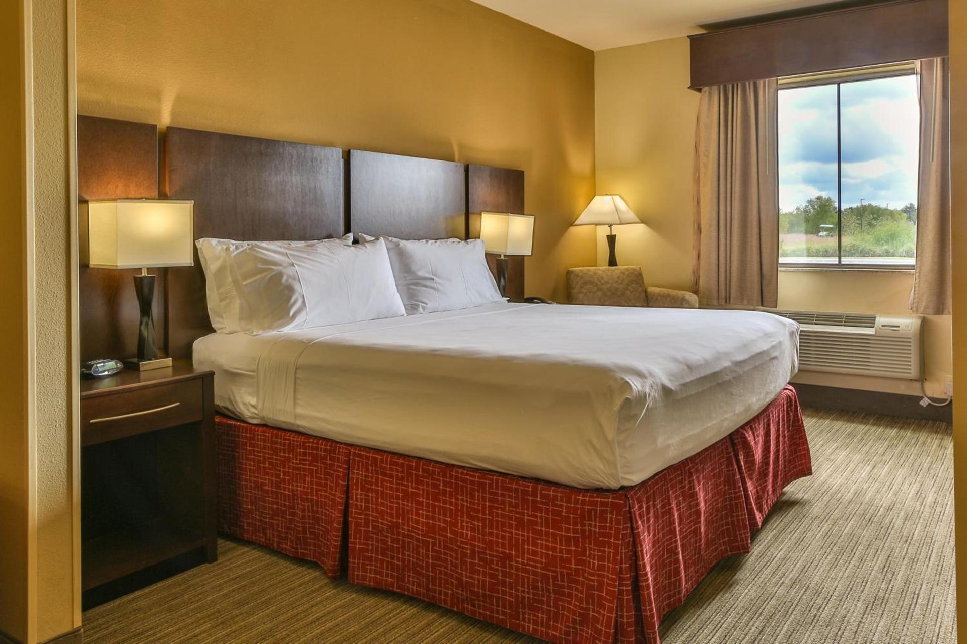 Holiday Inn Express & Suites Houston South - Near Pearland by IHG photo 52