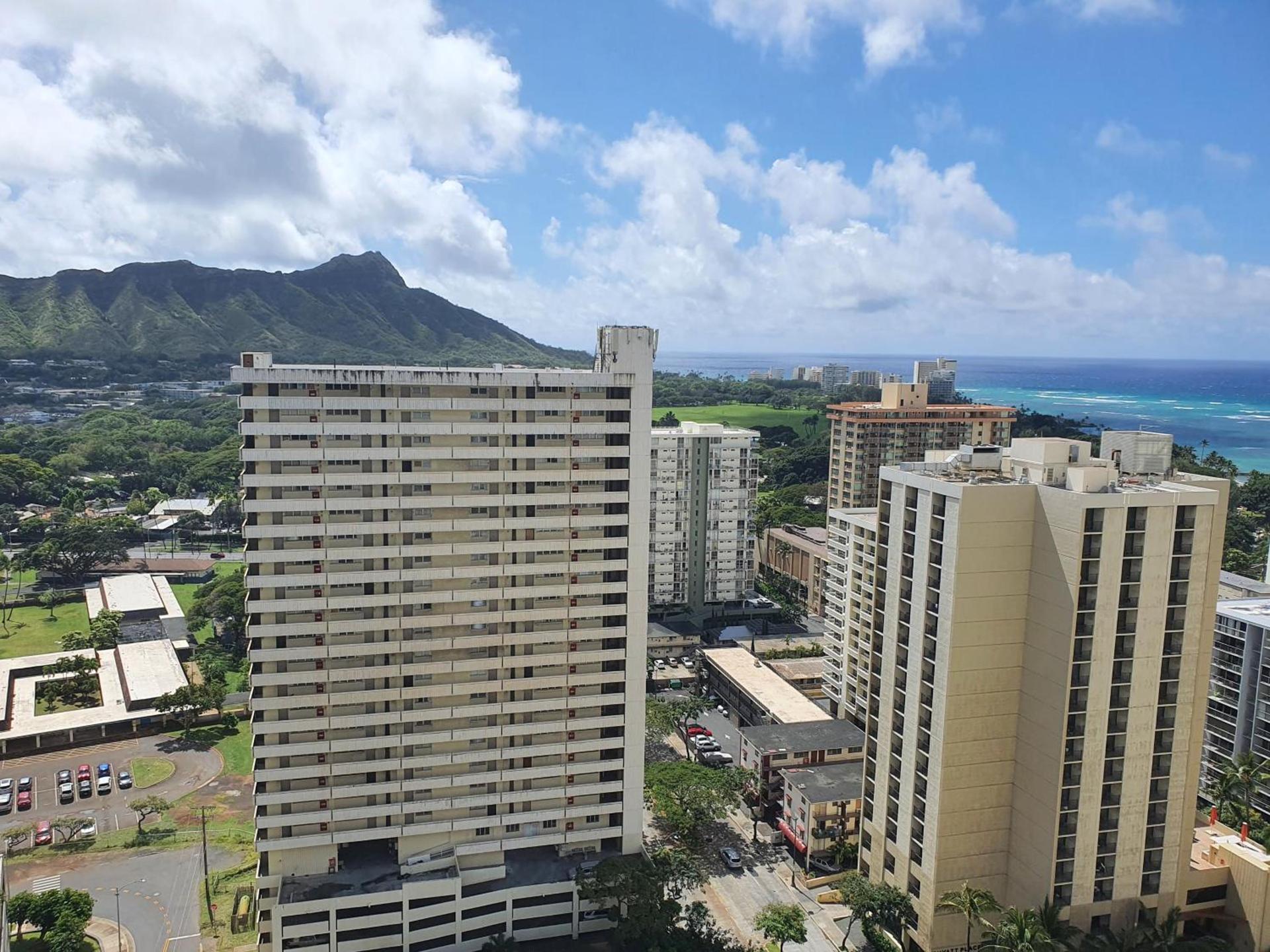 PonoAloha photo 9