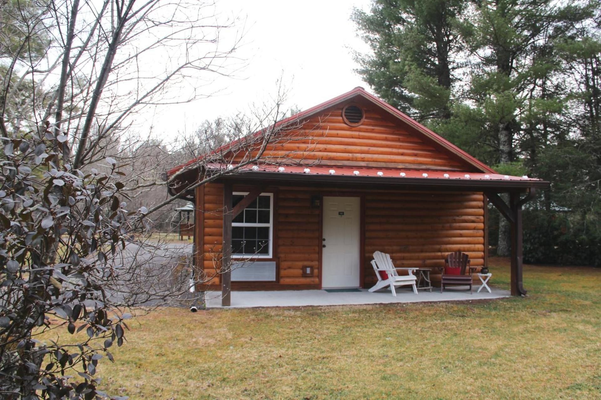 The Pineola photo 16