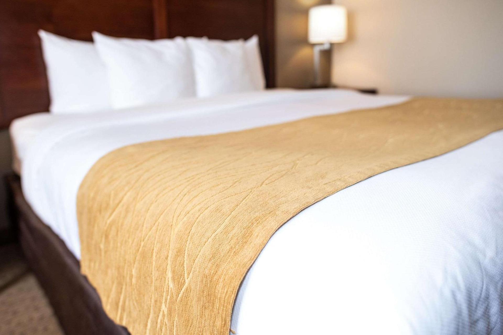 Comfort Inn & Suites photo 16