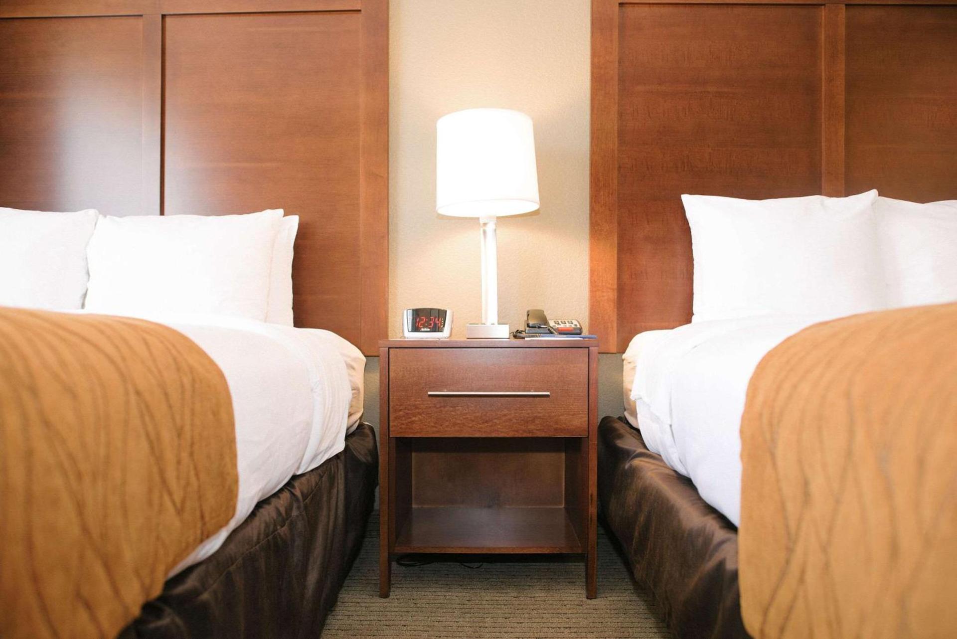 Comfort Inn & Suites photo 18
