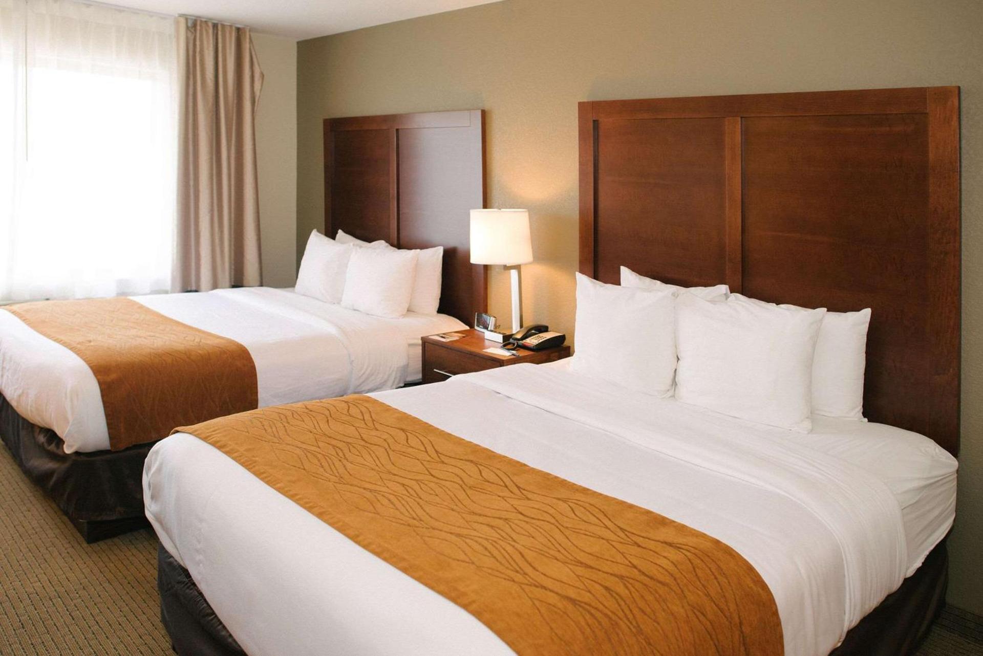 Comfort Inn & Suites photo 19