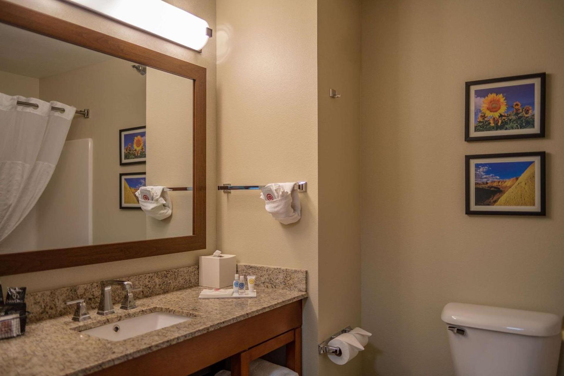 Comfort Inn & Suites photo 32