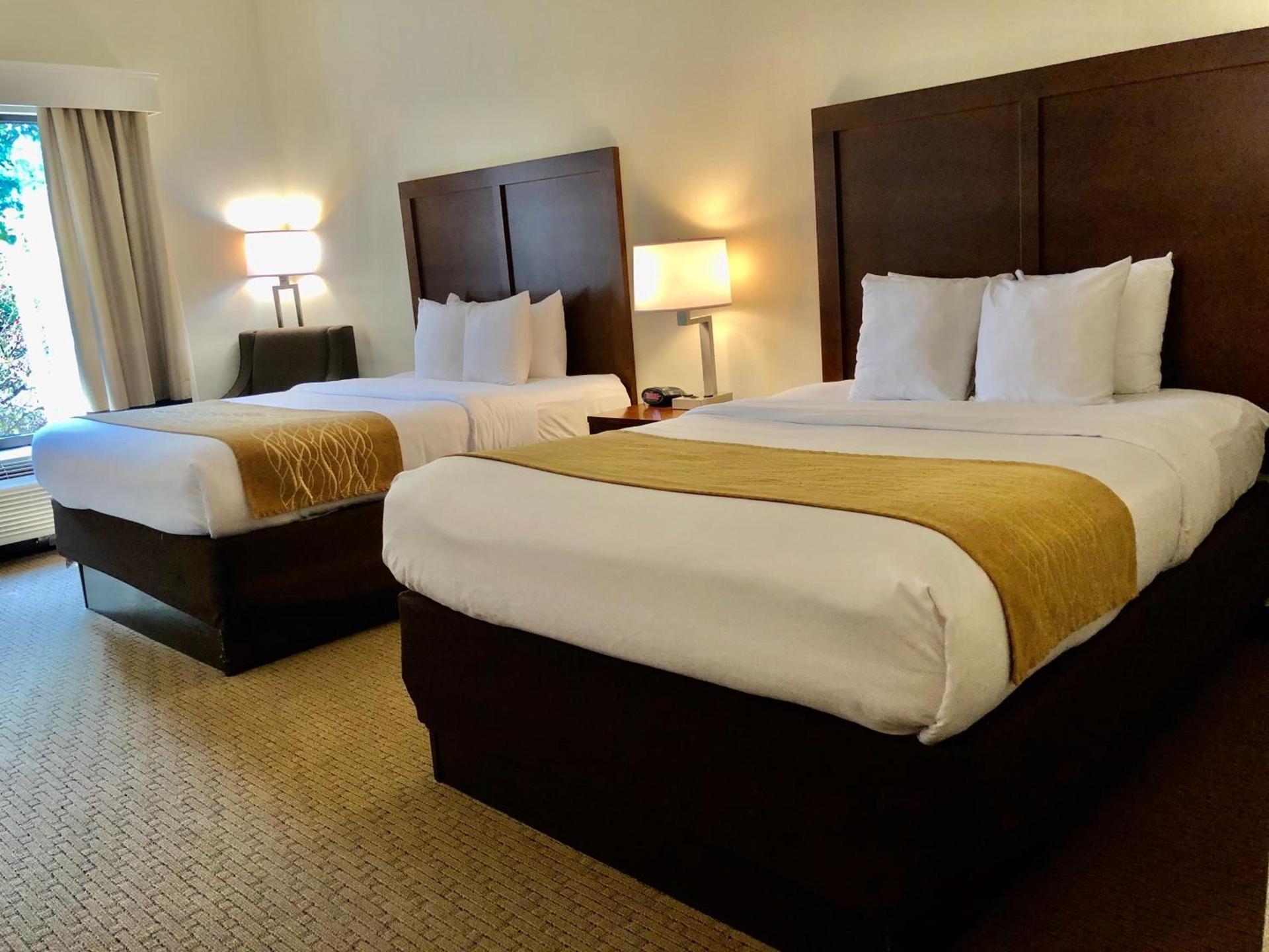 Comfort Inn & Suites Rogersville photo 40