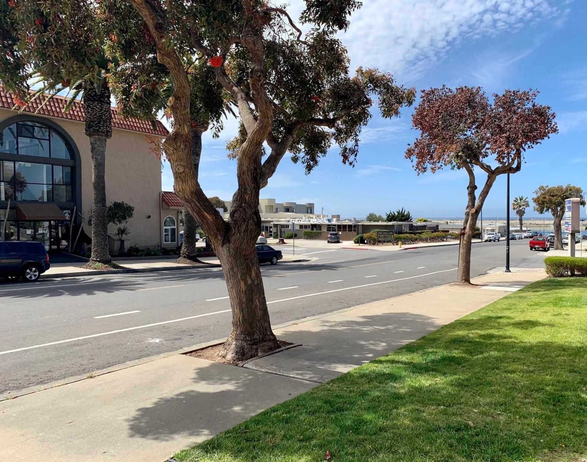 Avalon Inn Downtown Morro Bay photo 5
