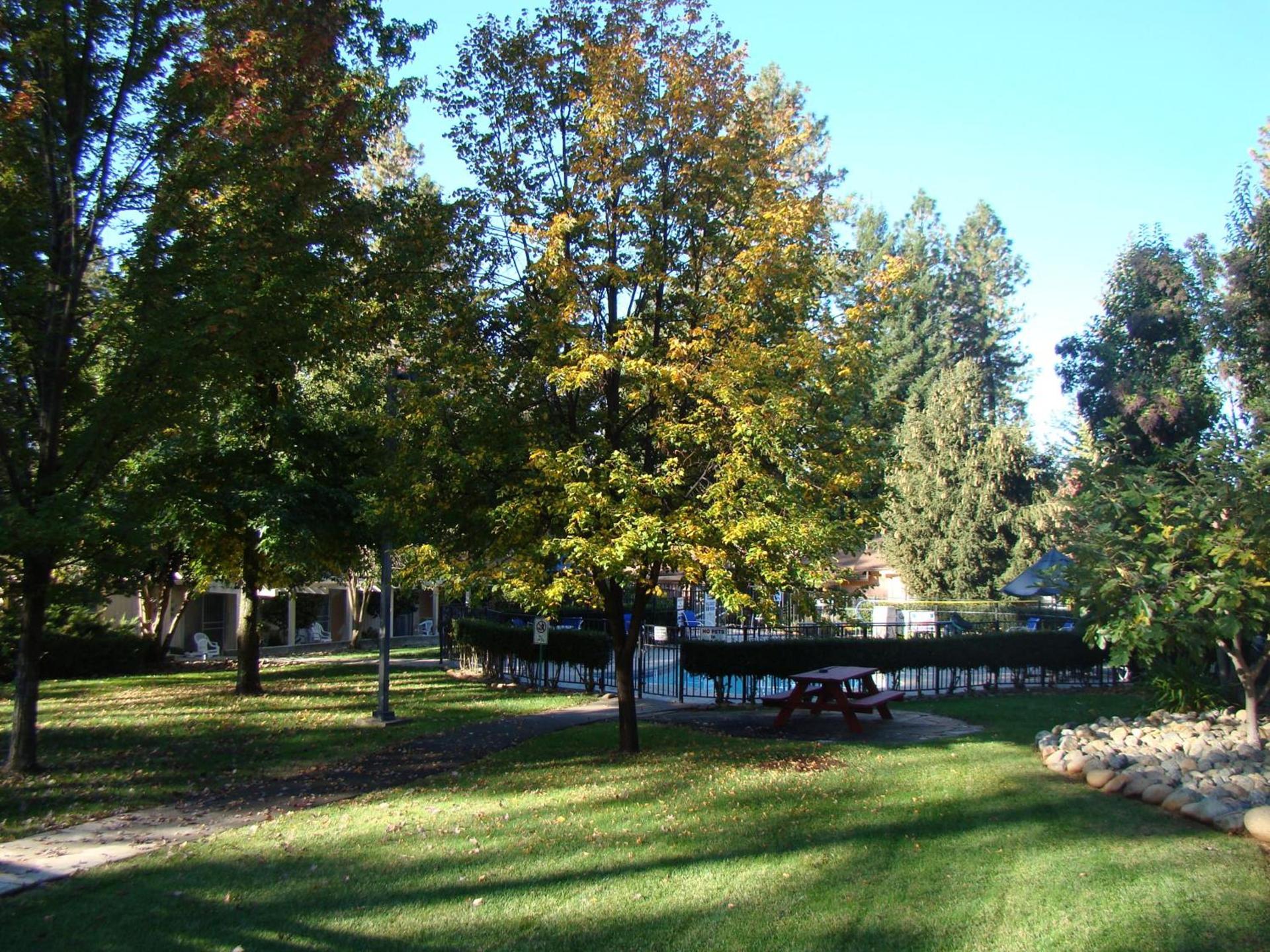 Ponderosa Gardens Motel photo 7