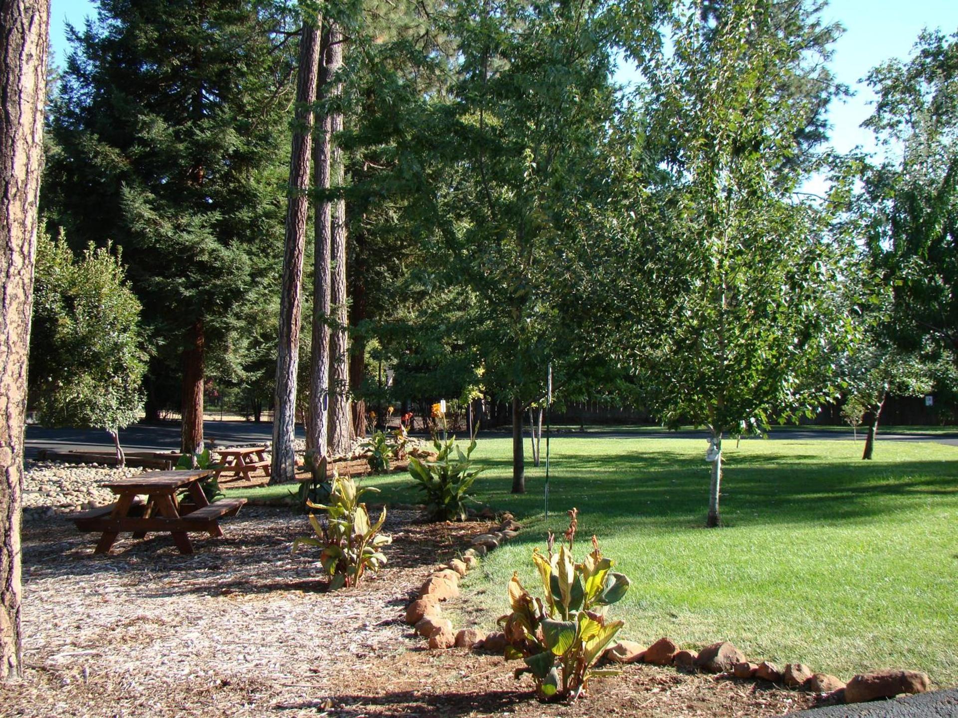Ponderosa Gardens Motel photo 4