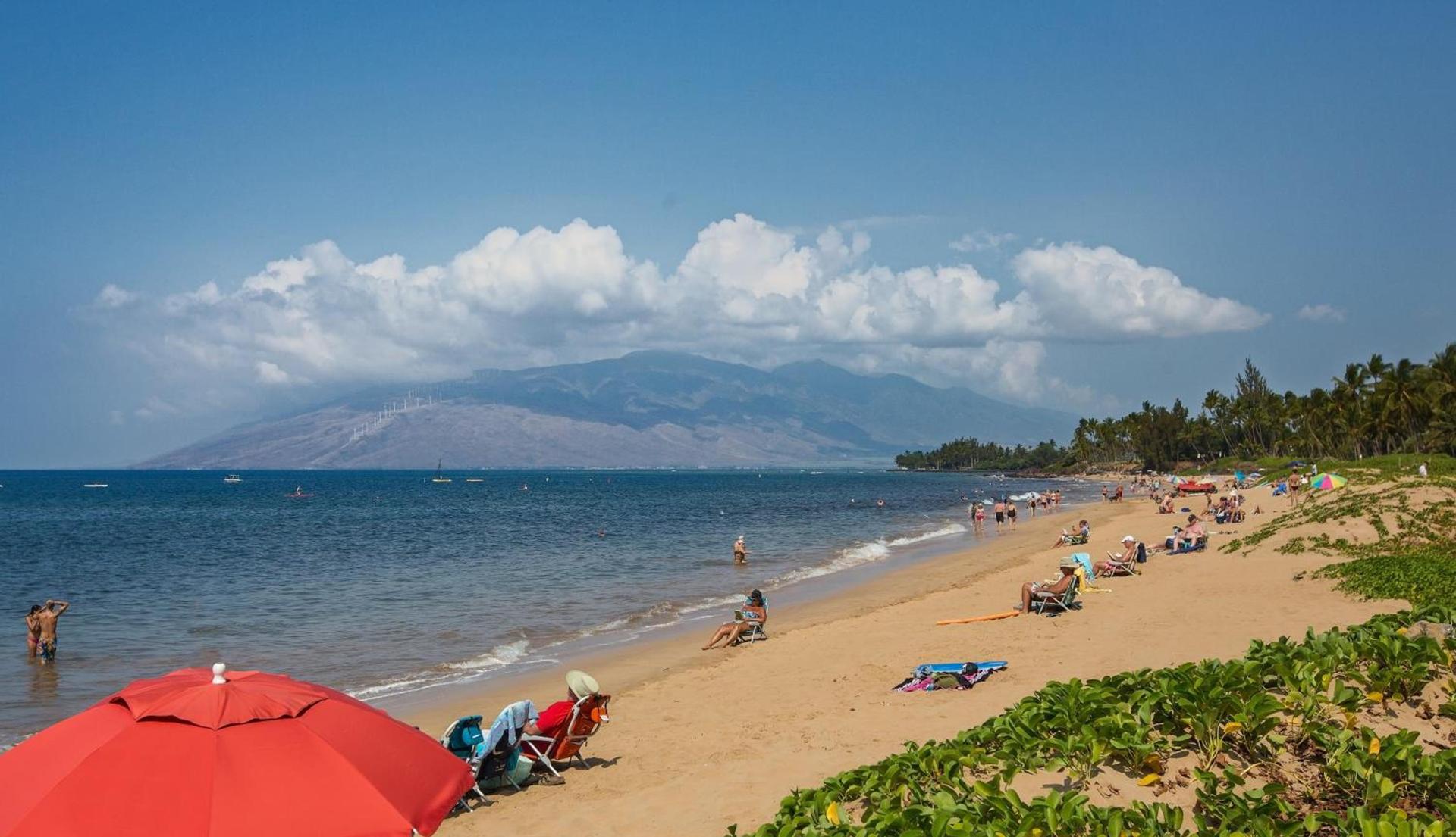 Maui Coast Hotel photo 19
