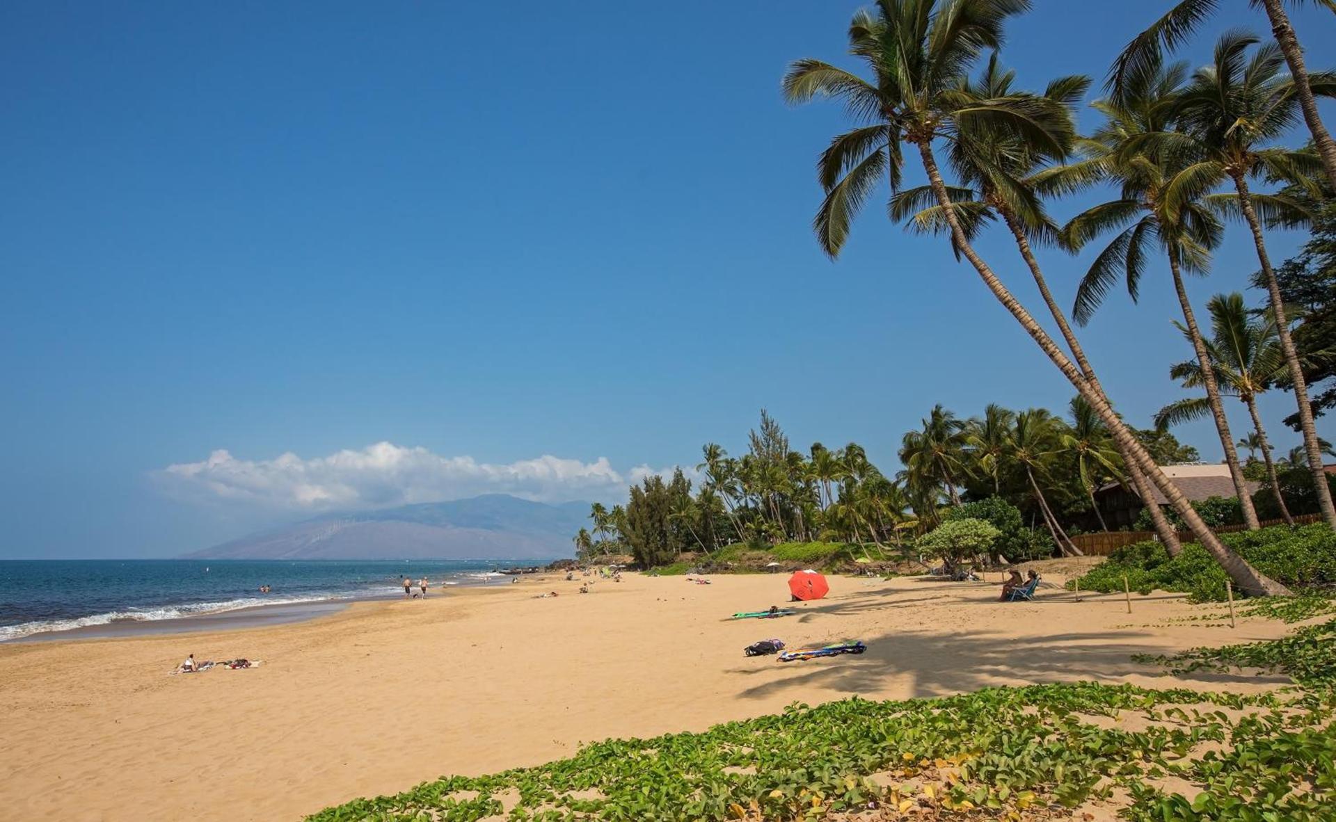 Maui Coast Hotel photo 20
