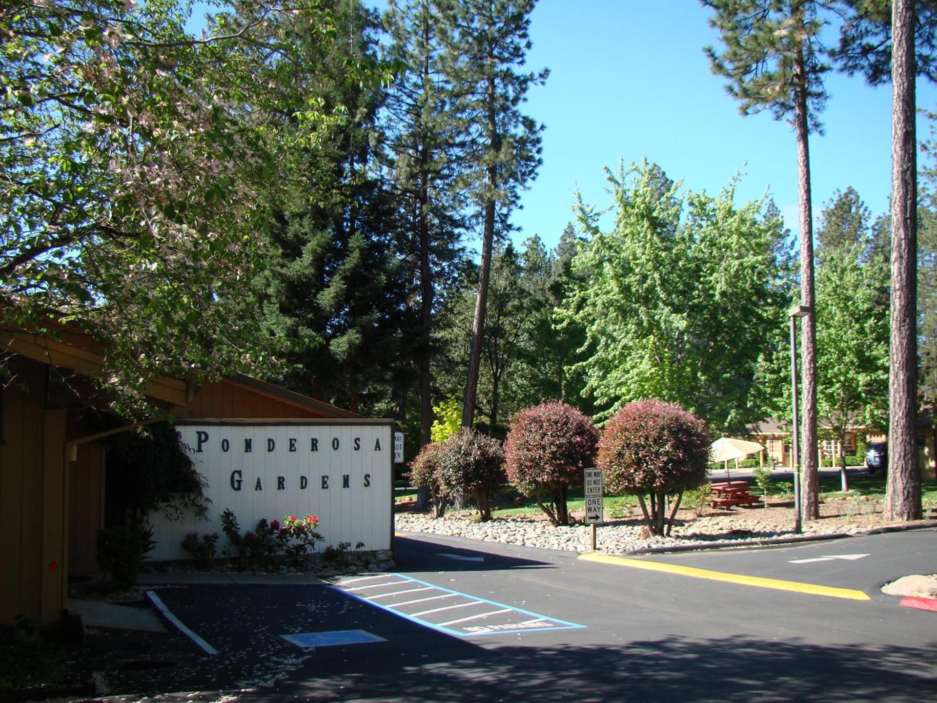 Ponderosa Gardens Motel photo 9
