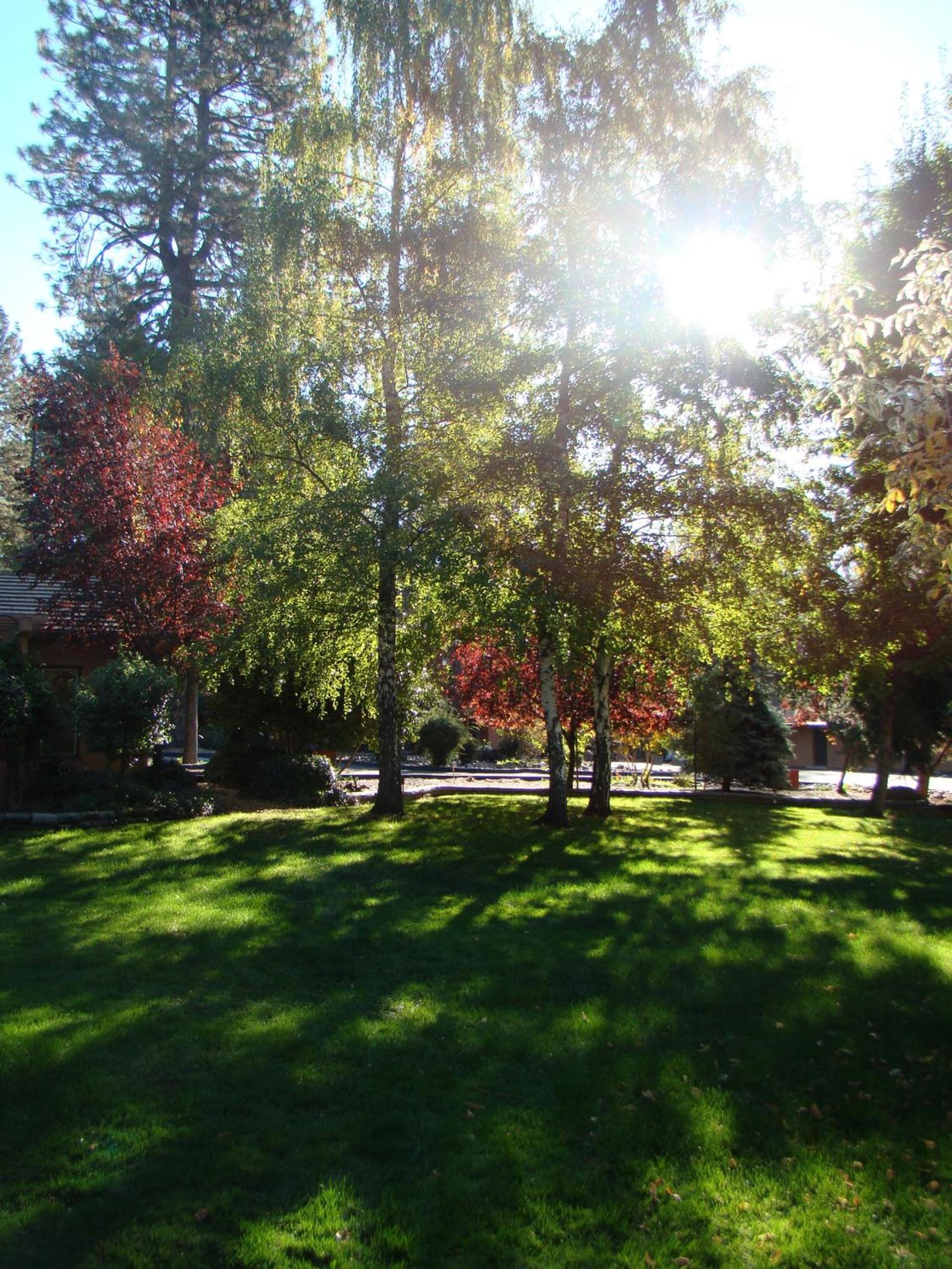 Ponderosa Gardens Motel photo 10