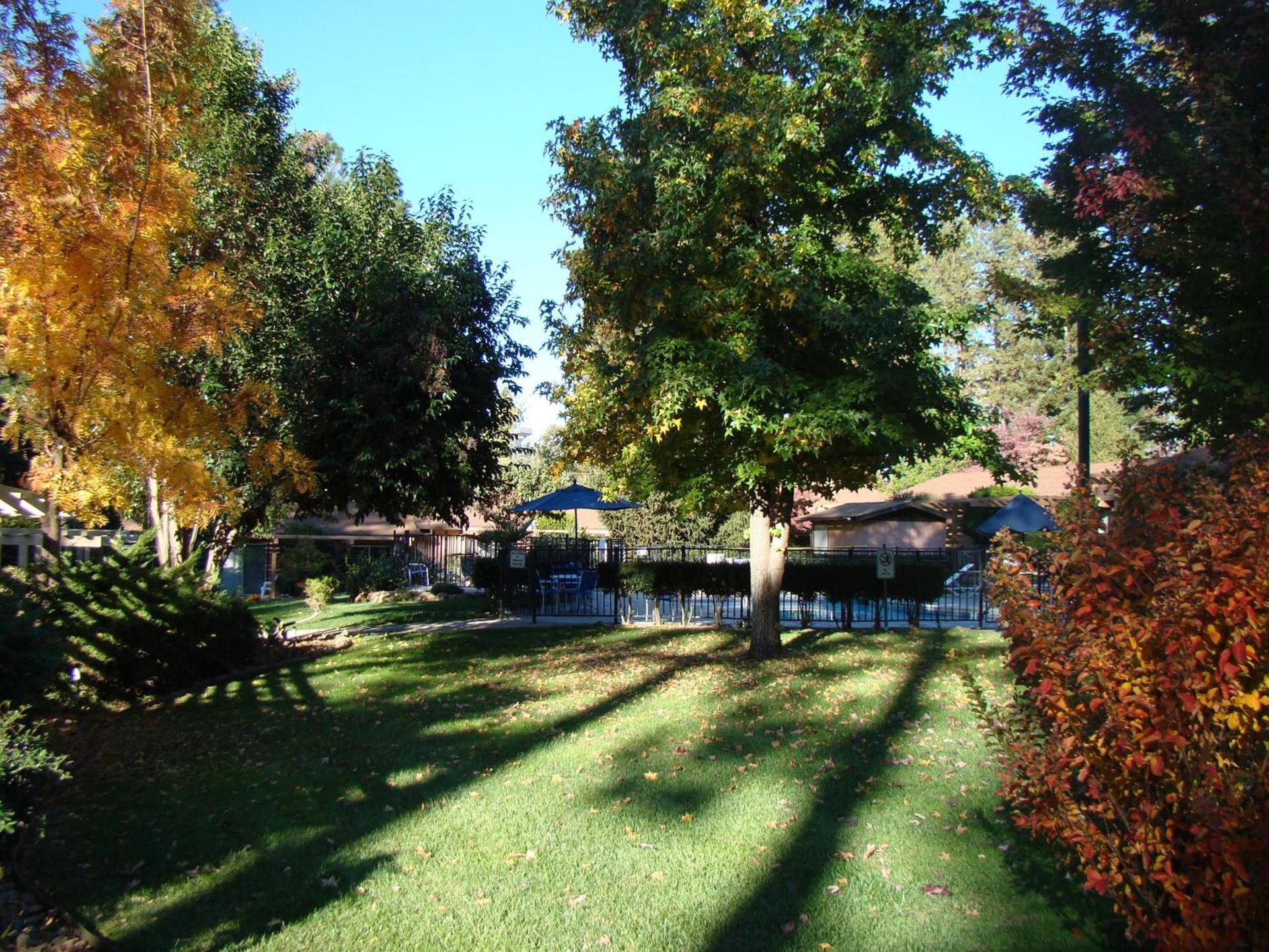 Ponderosa Gardens Motel photo 12