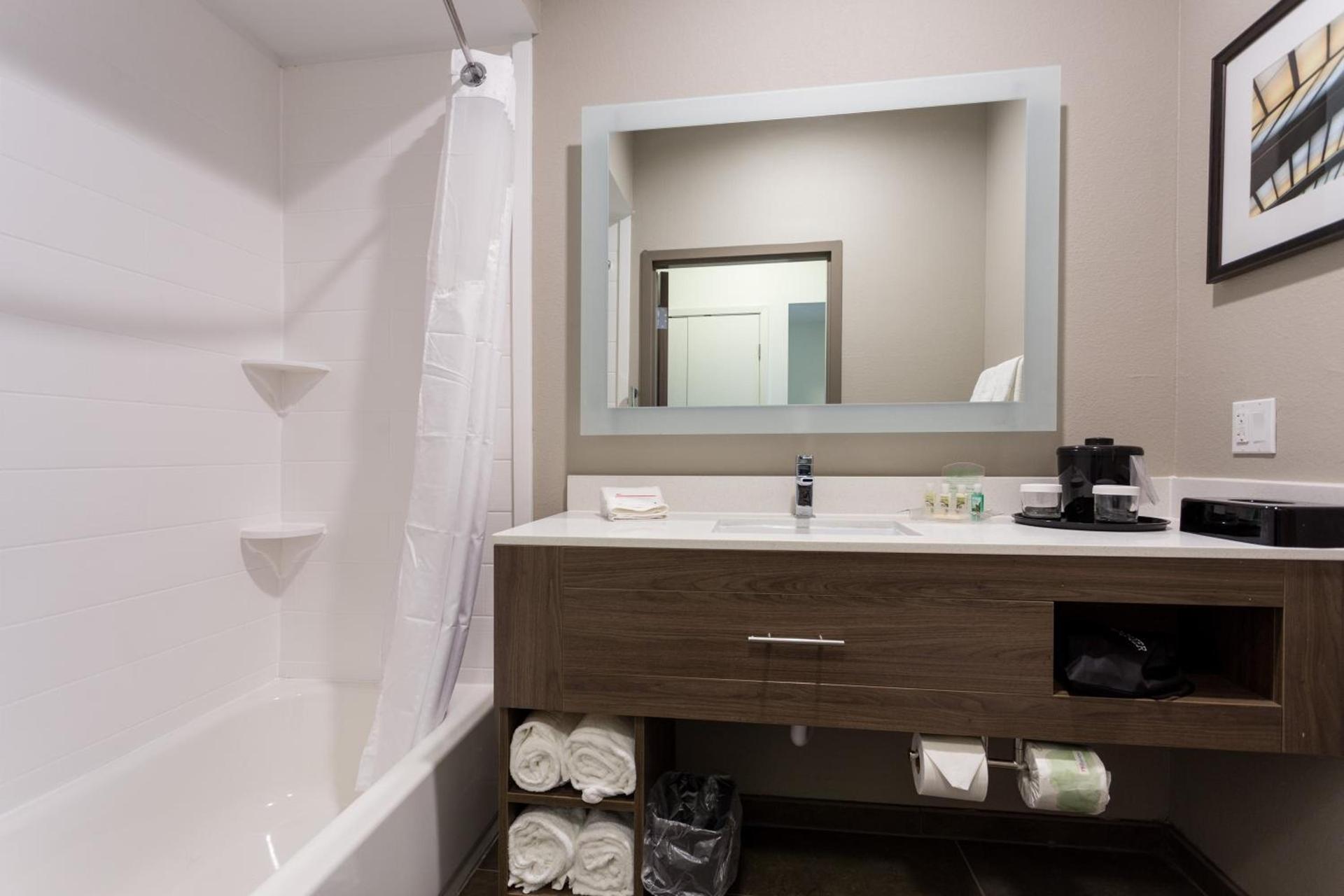 Holiday Inn San Marcos Convention Center by IHG photo 10
