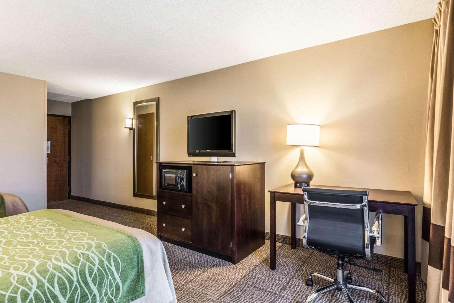 Comfort Inn Lansing West photo 7
