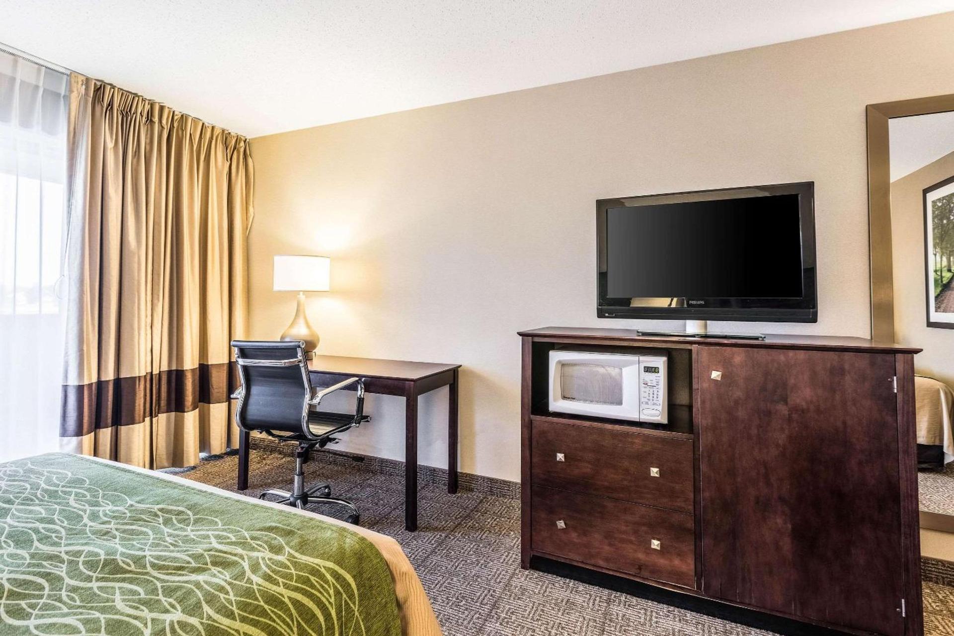 Comfort Inn Lansing West photo 11