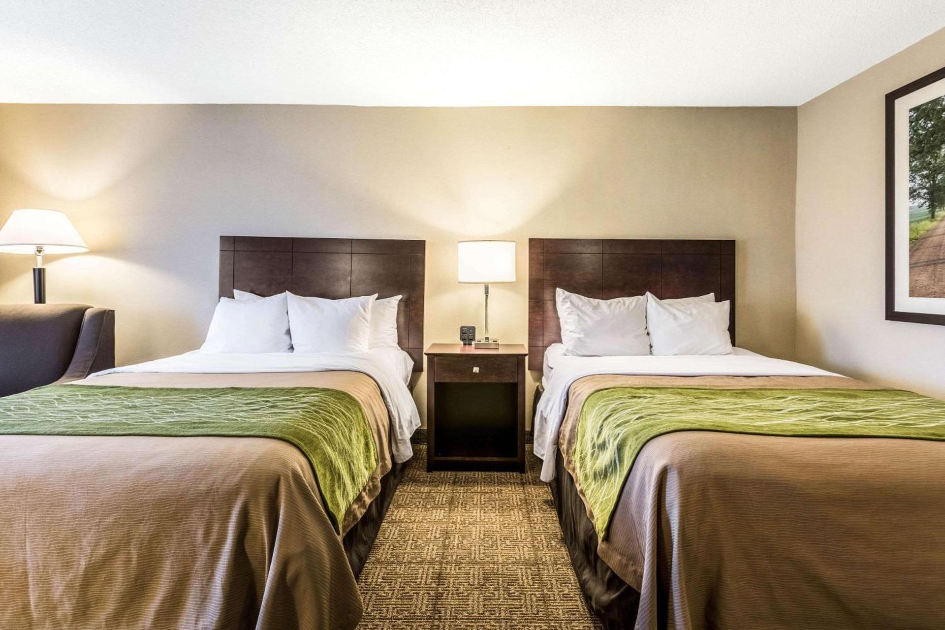 Comfort Inn Lansing West photo 15