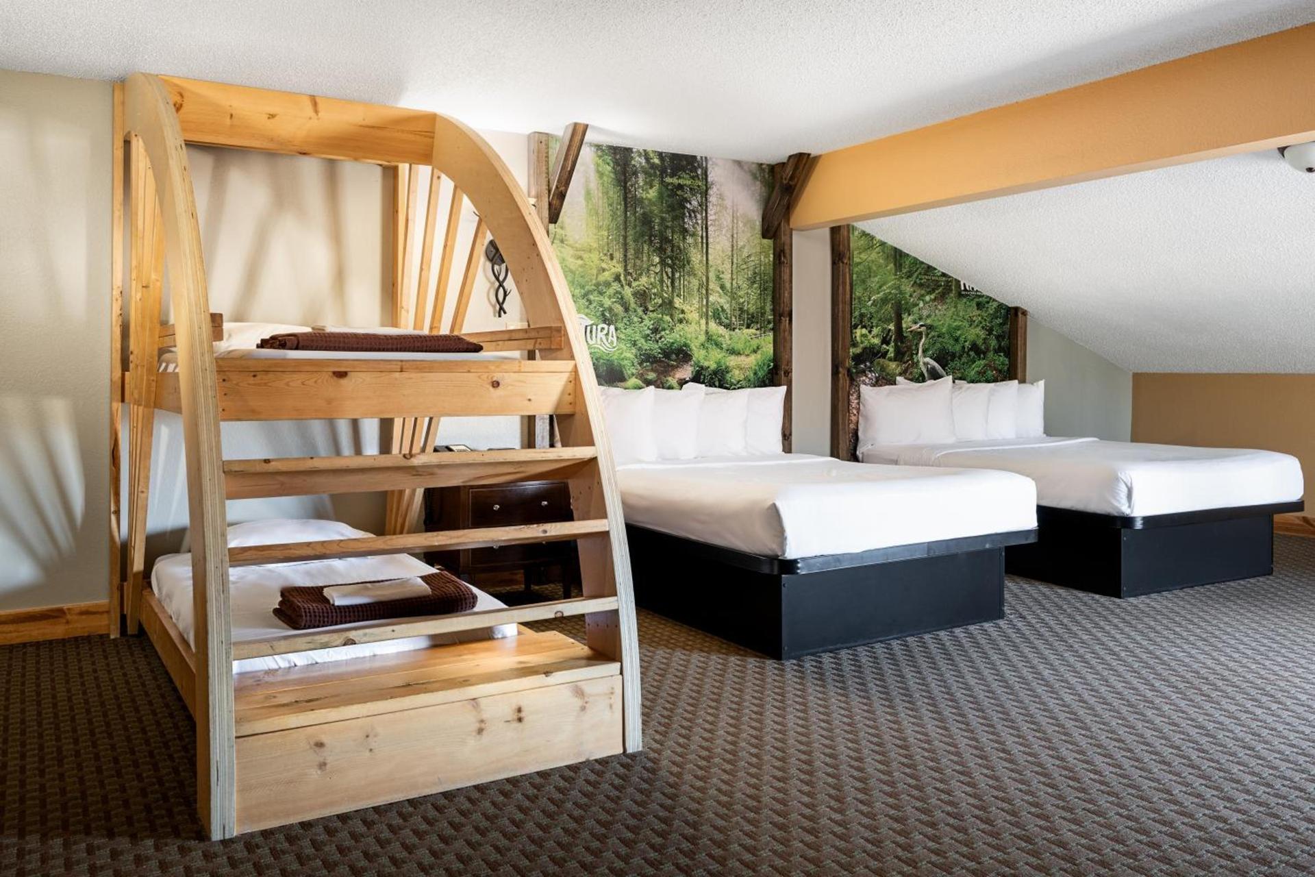 Natura Treescape Resort photo 65