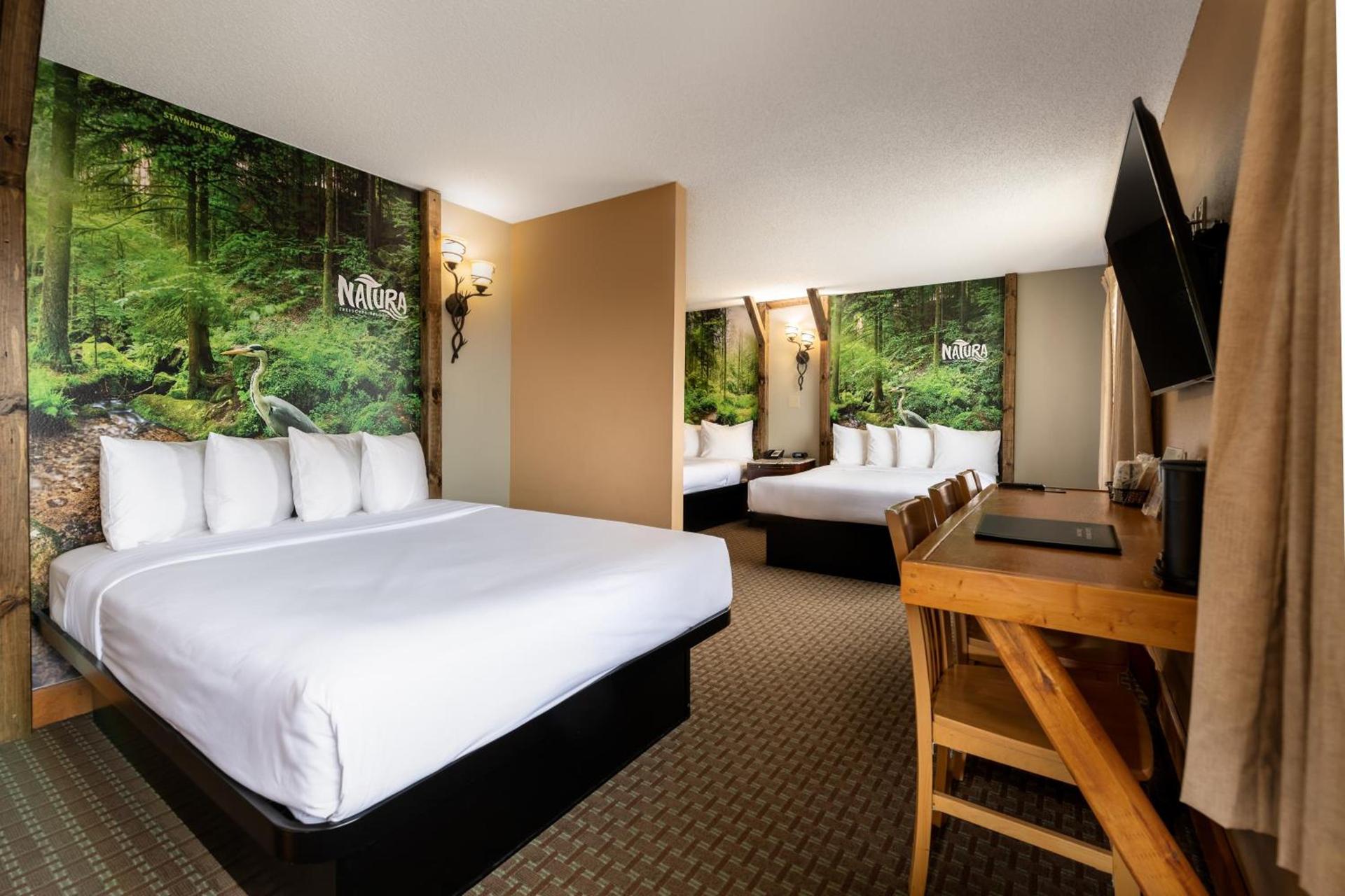 Natura Treescape Resort photo 66