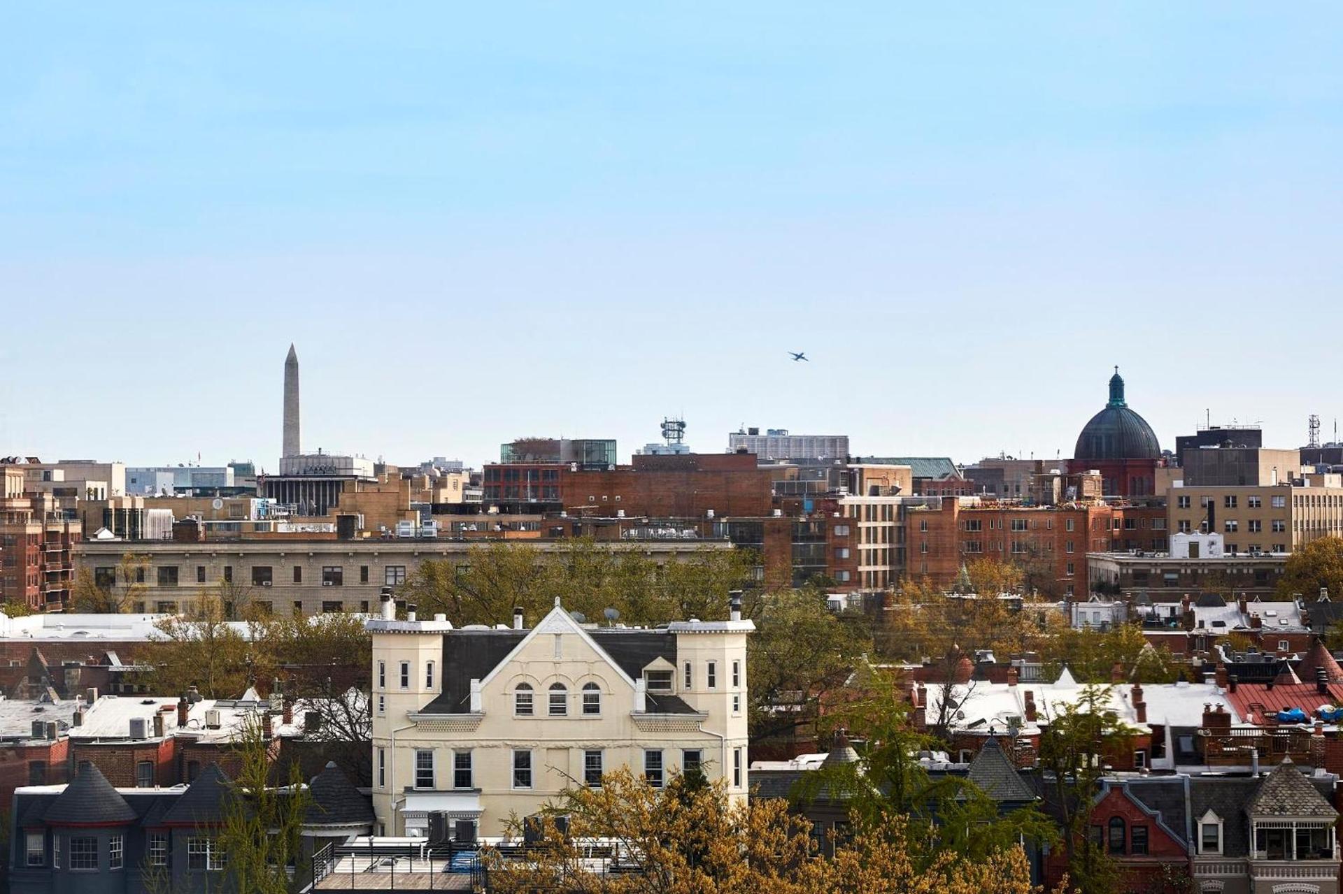 Lyle DC photo 7