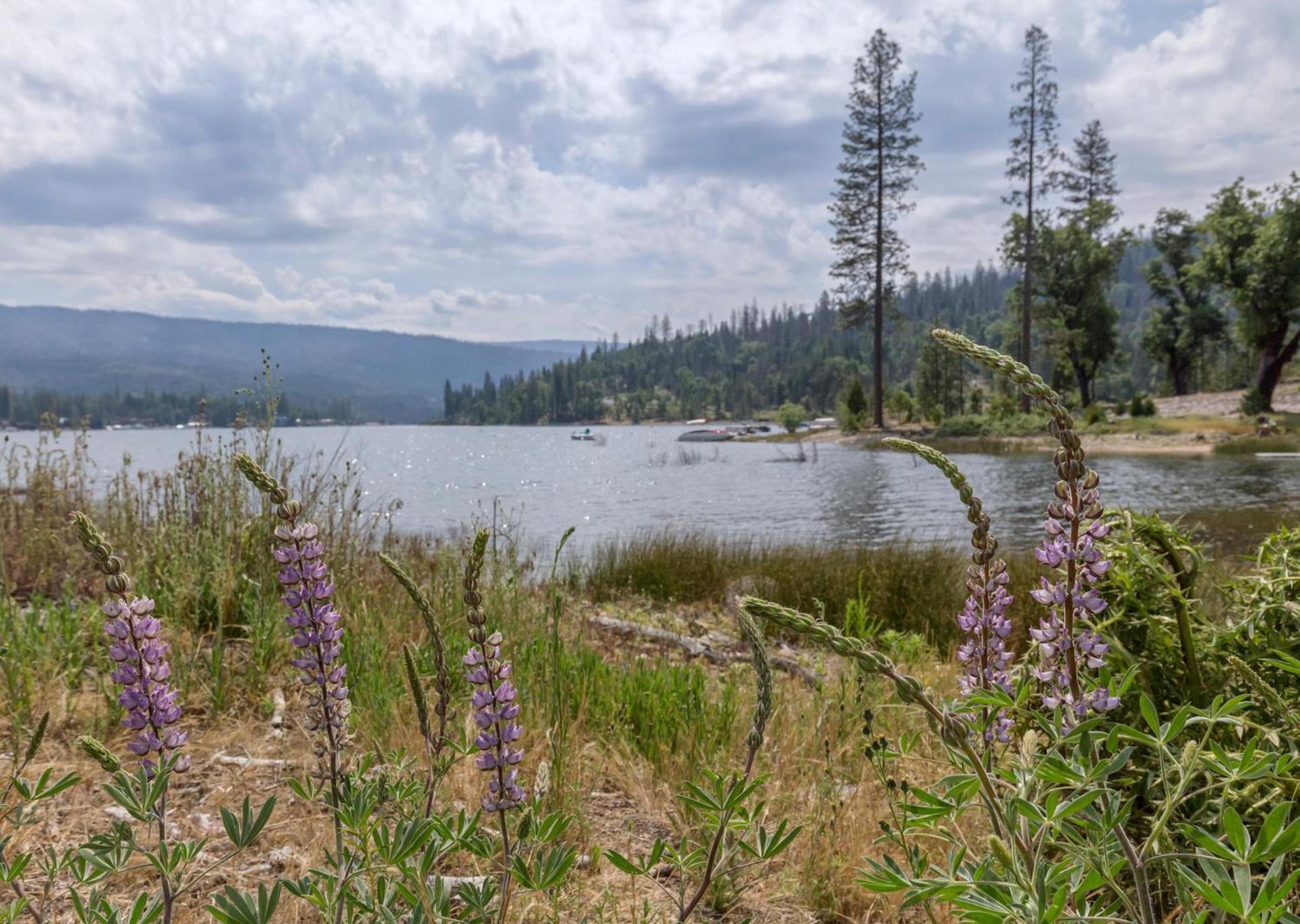 WorldMark Bass Lake photo 56