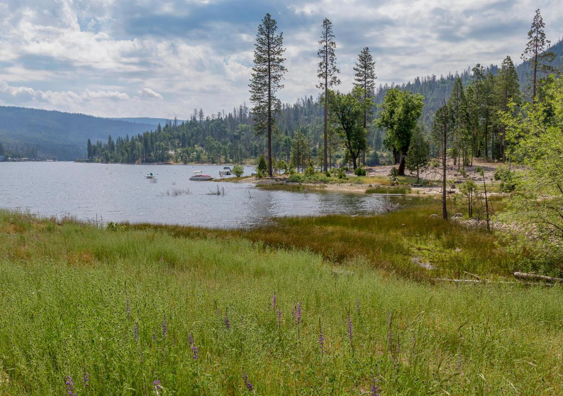 WorldMark Bass Lake photo 58