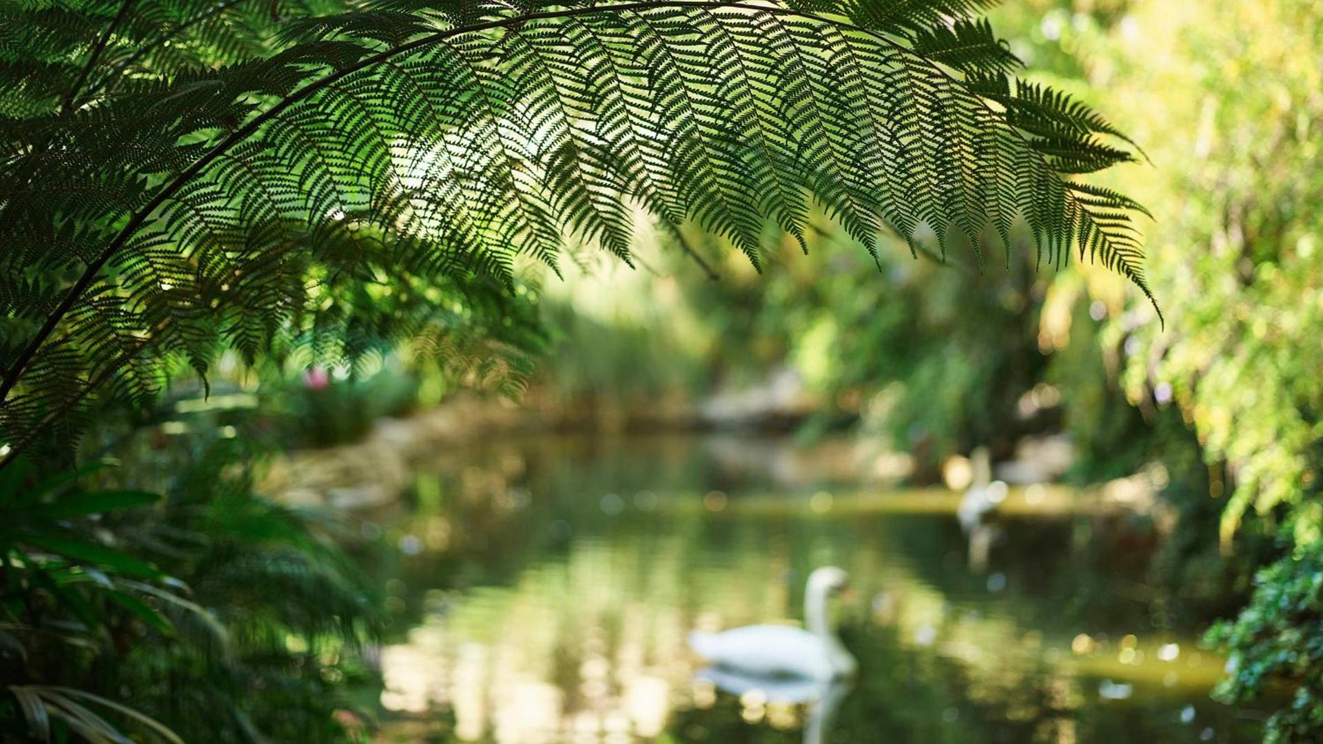 Hotel Bel-Air - Dorchester Collection photo 50