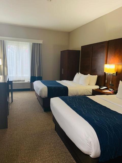 Comfort Inn & Suites Conway photo 22