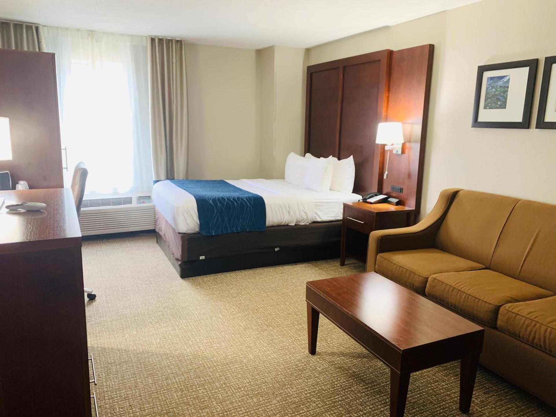 Comfort Inn & Suites Conway photo 28