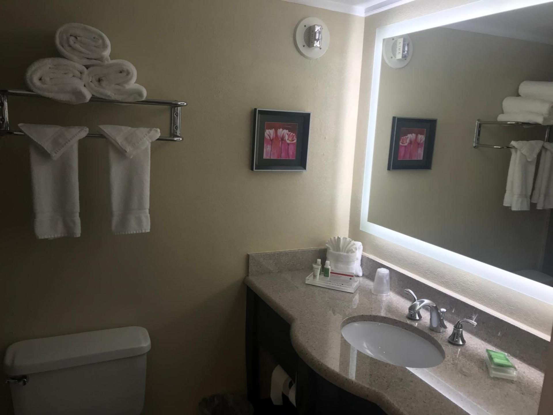 Holiday Inn Orlando East-UCF Area by IHG photo 11