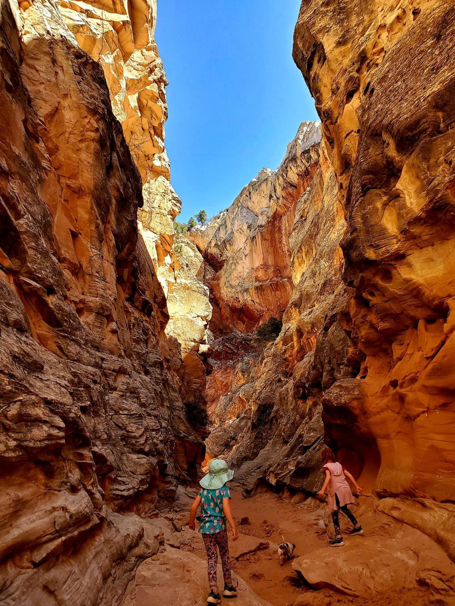 Kanab Suites photo 49