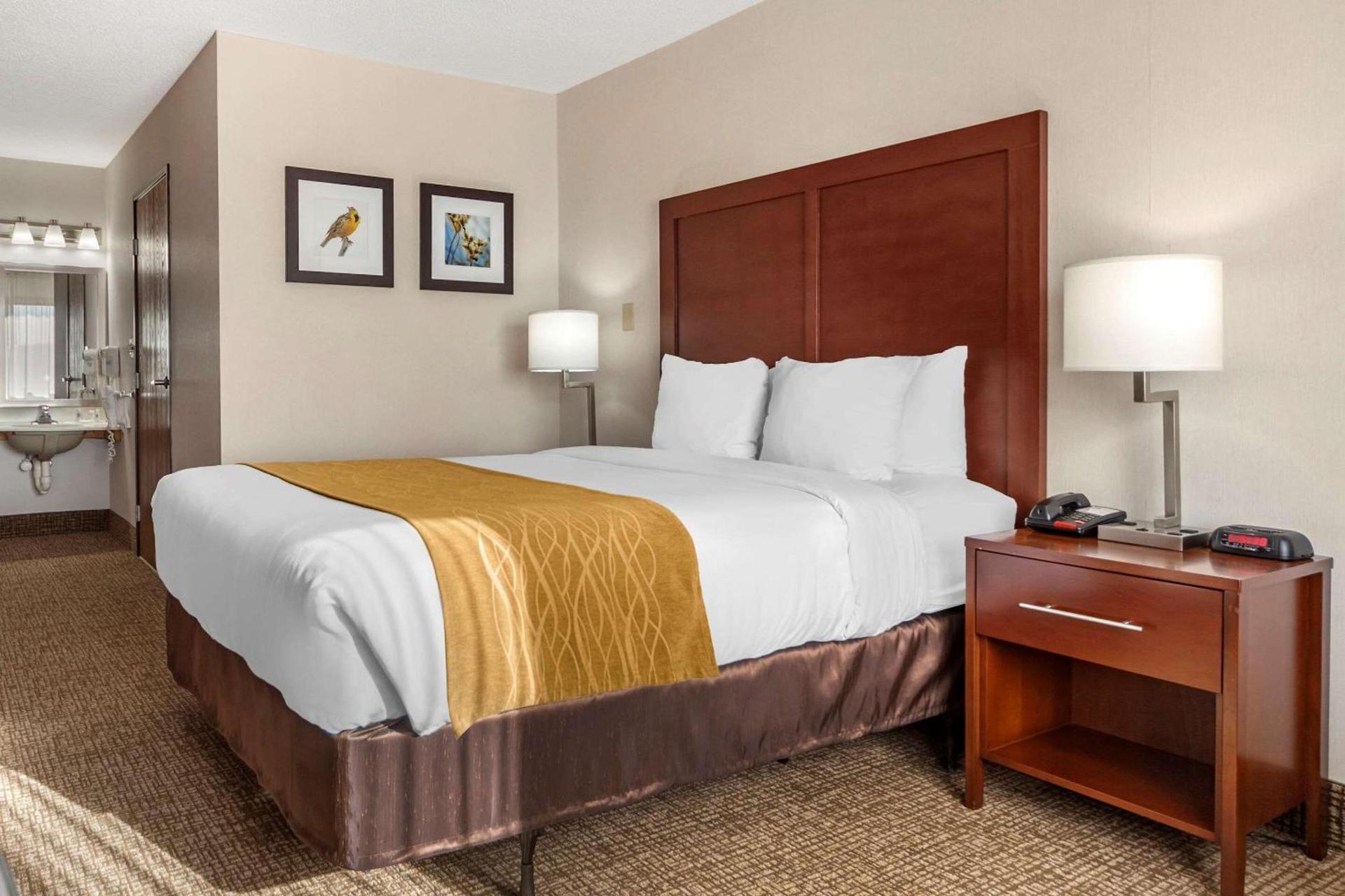 Comfort Inn Grand Island North photo 13