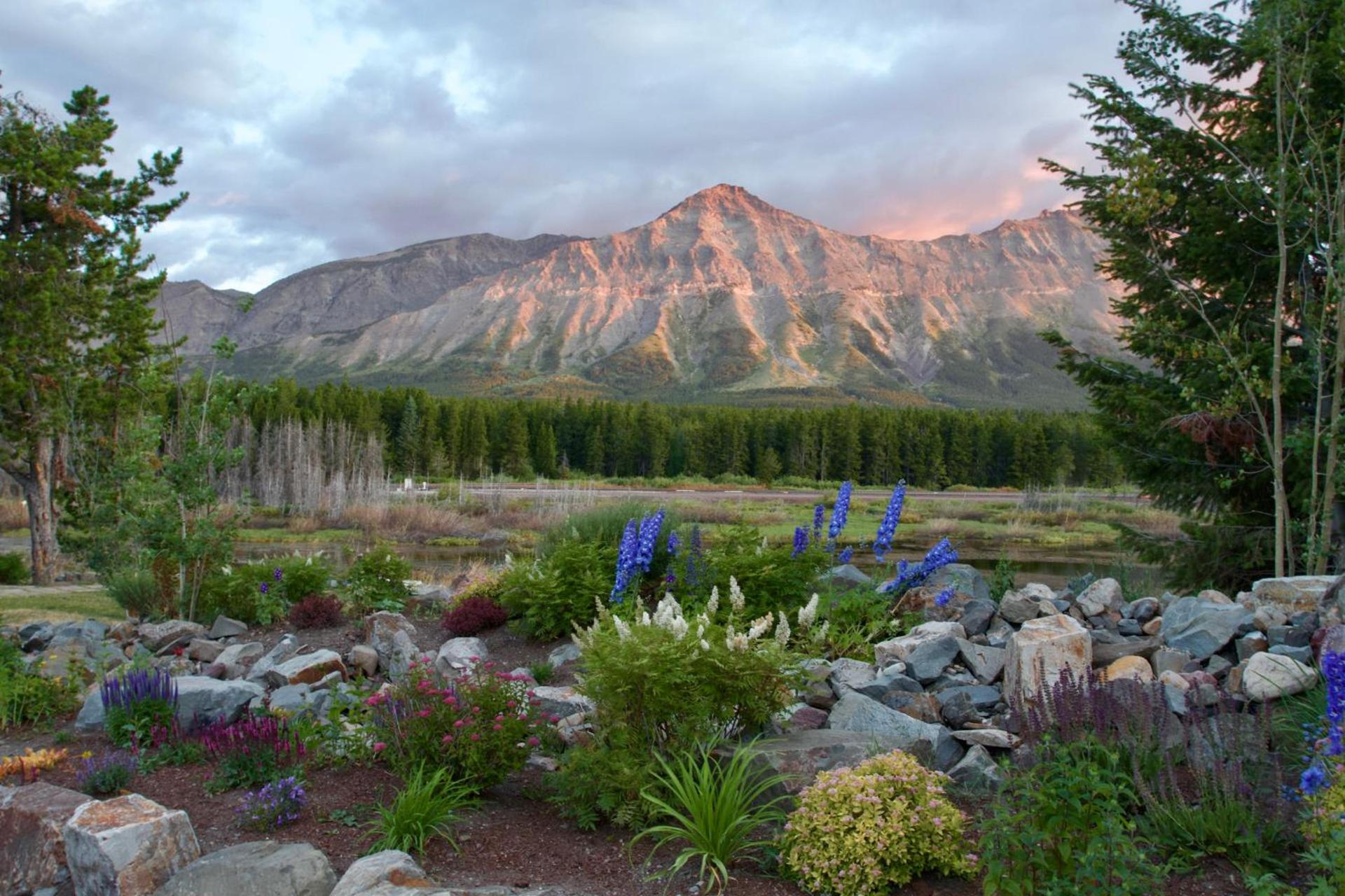 Summit Mountain Lodge and Steakhouse photo 20