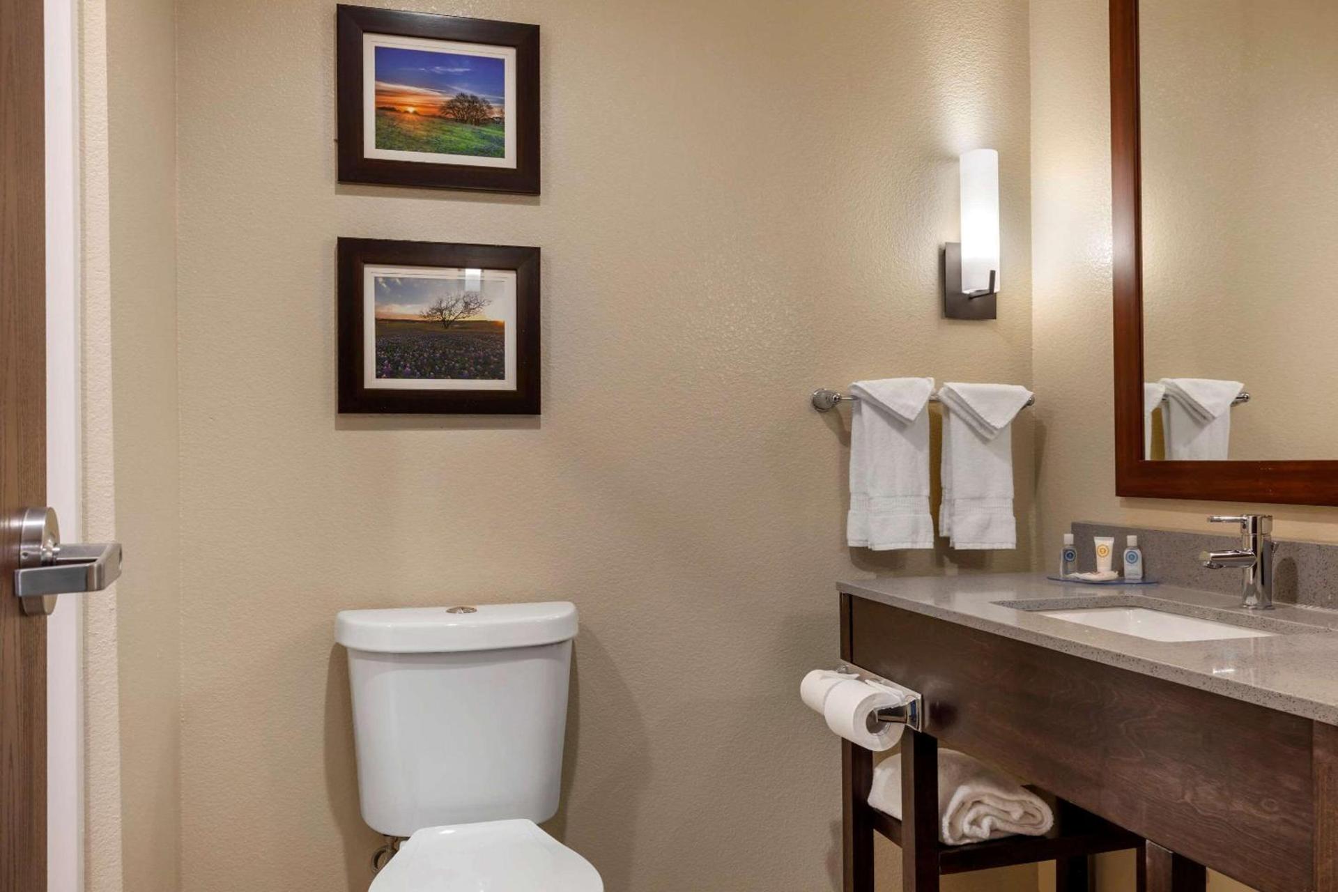 Comfort Inn & Suites Euless DFW West photo 25