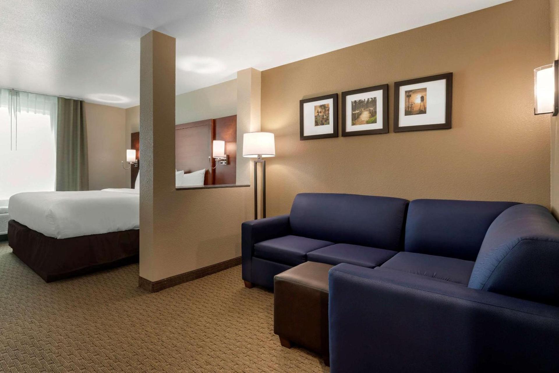 Comfort Inn & Suites Euless DFW West photo 14