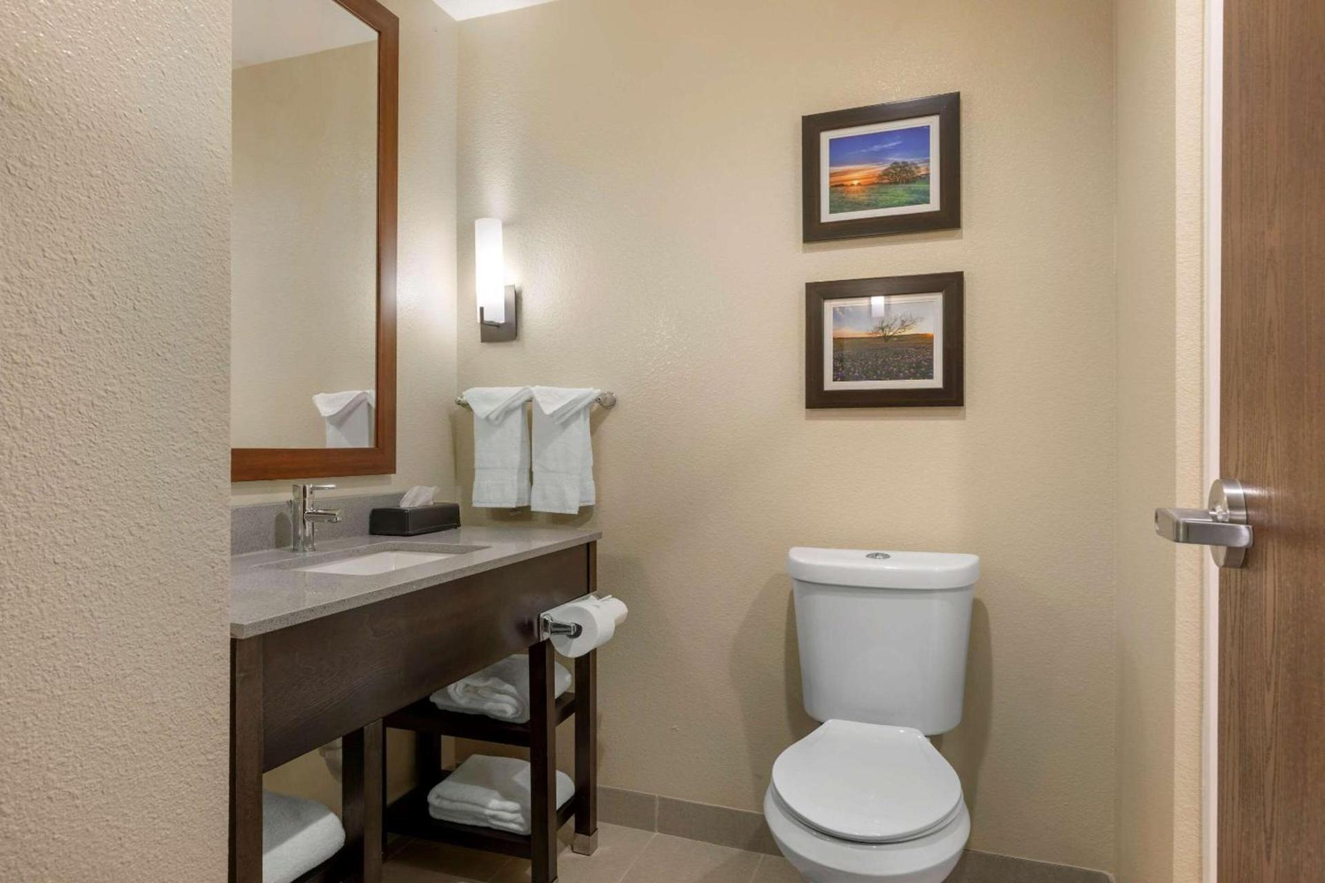 Comfort Inn & Suites Euless DFW West photo 24