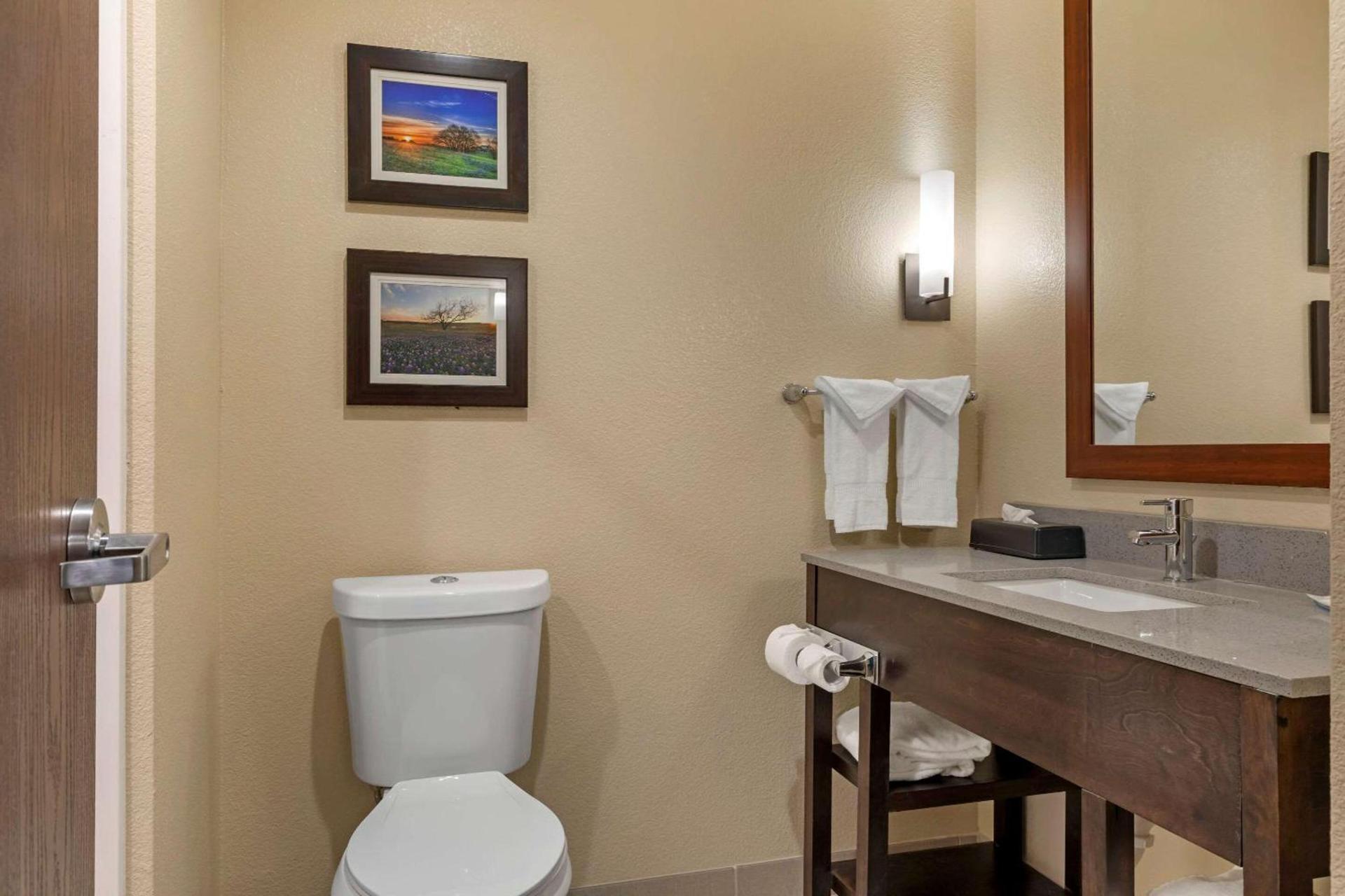 Comfort Inn & Suites Euless DFW West photo 26