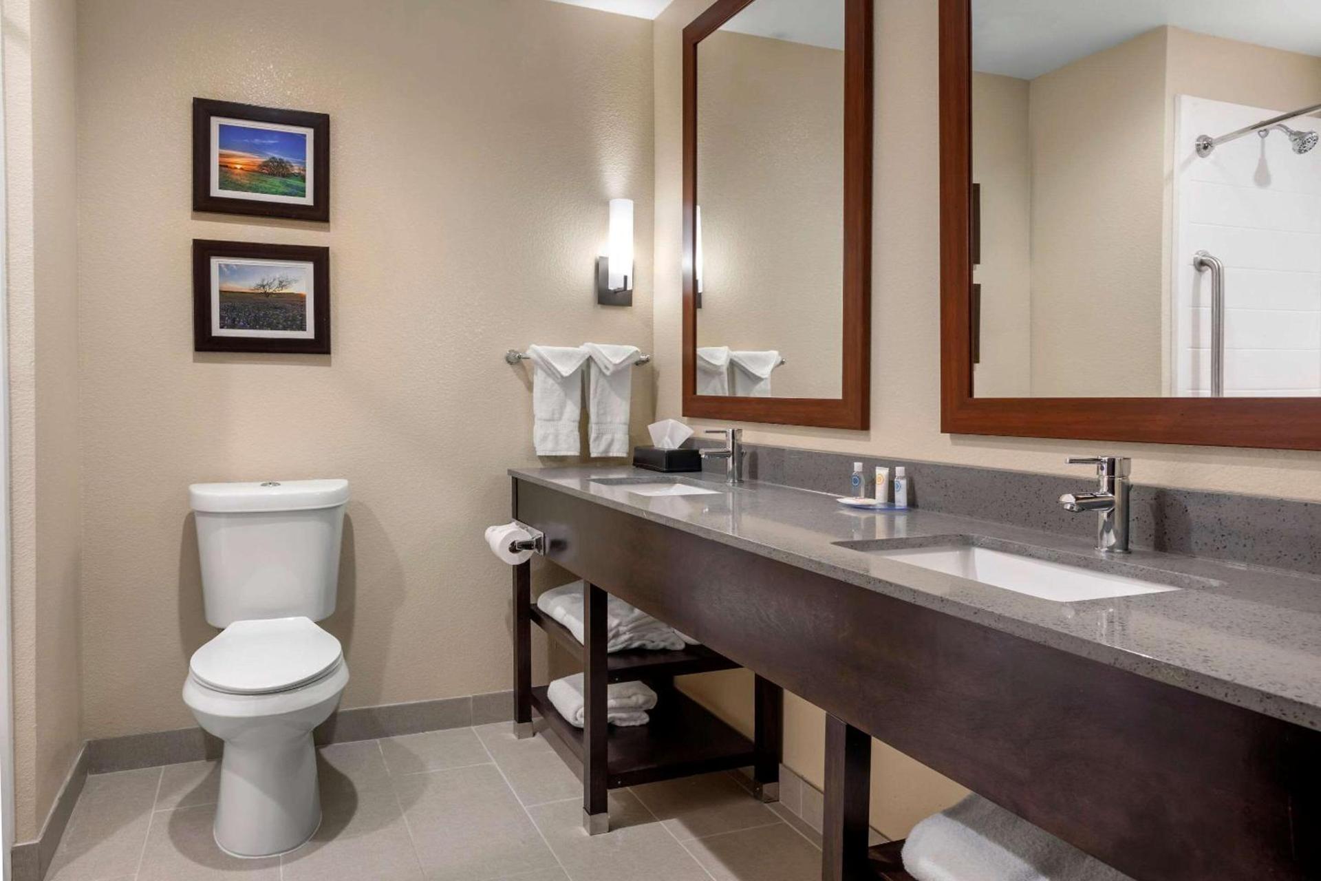 Comfort Inn & Suites Euless DFW West photo 27