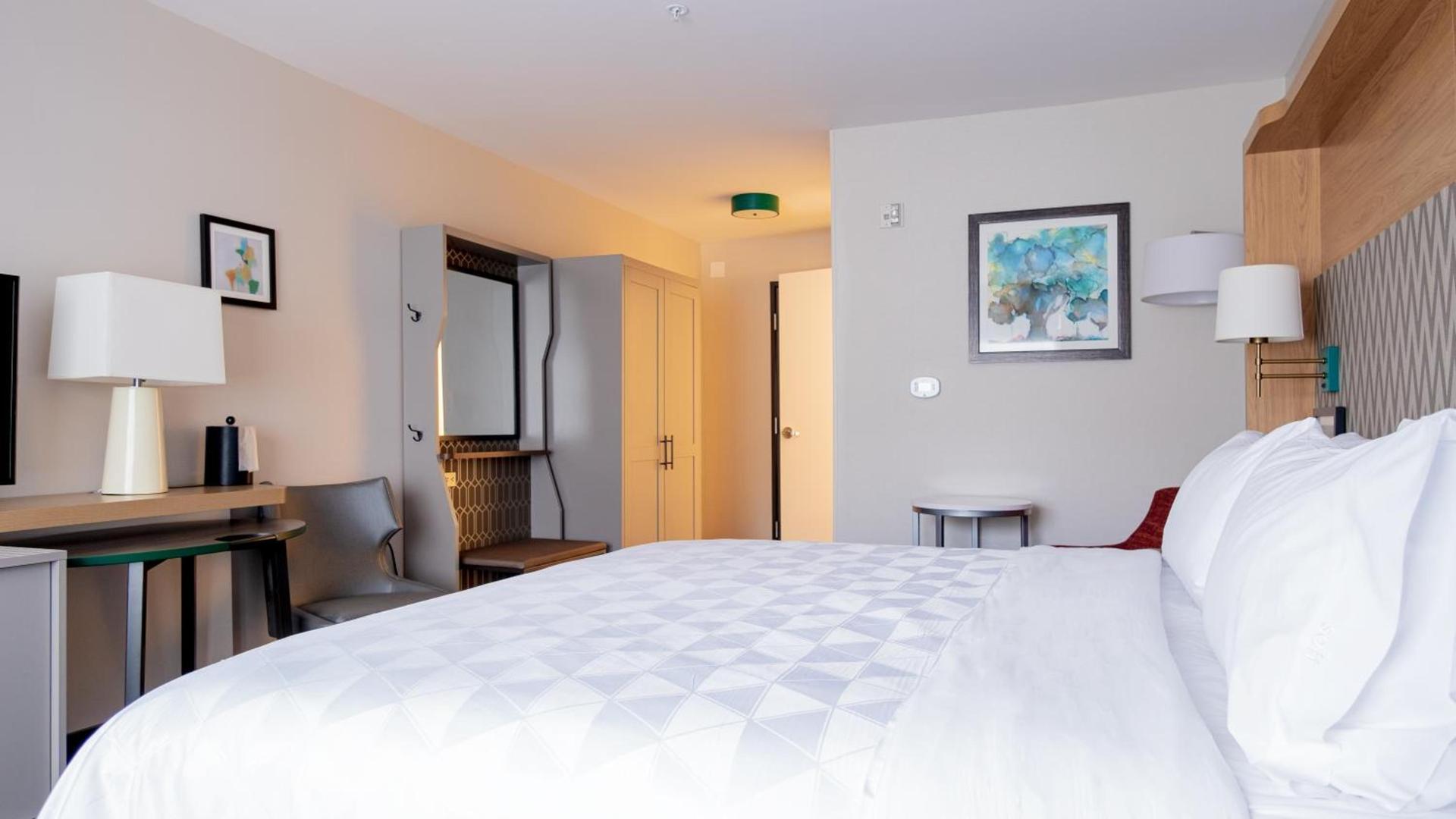 Holiday Inn & Suites Philadelphia W - Drexel Hill by IHG photo 28