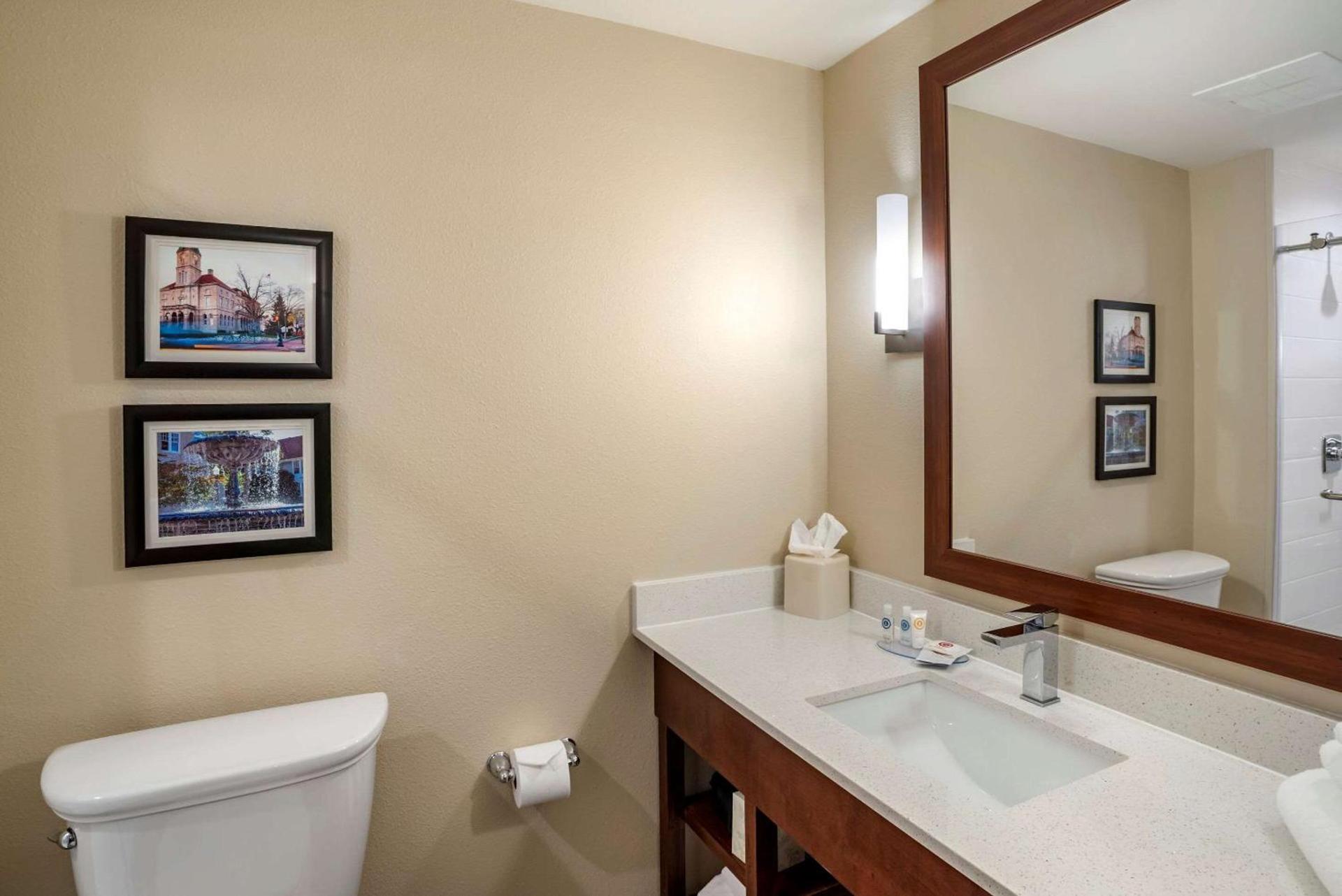 Comfort Inn & Suites Harrisonburg photo 12