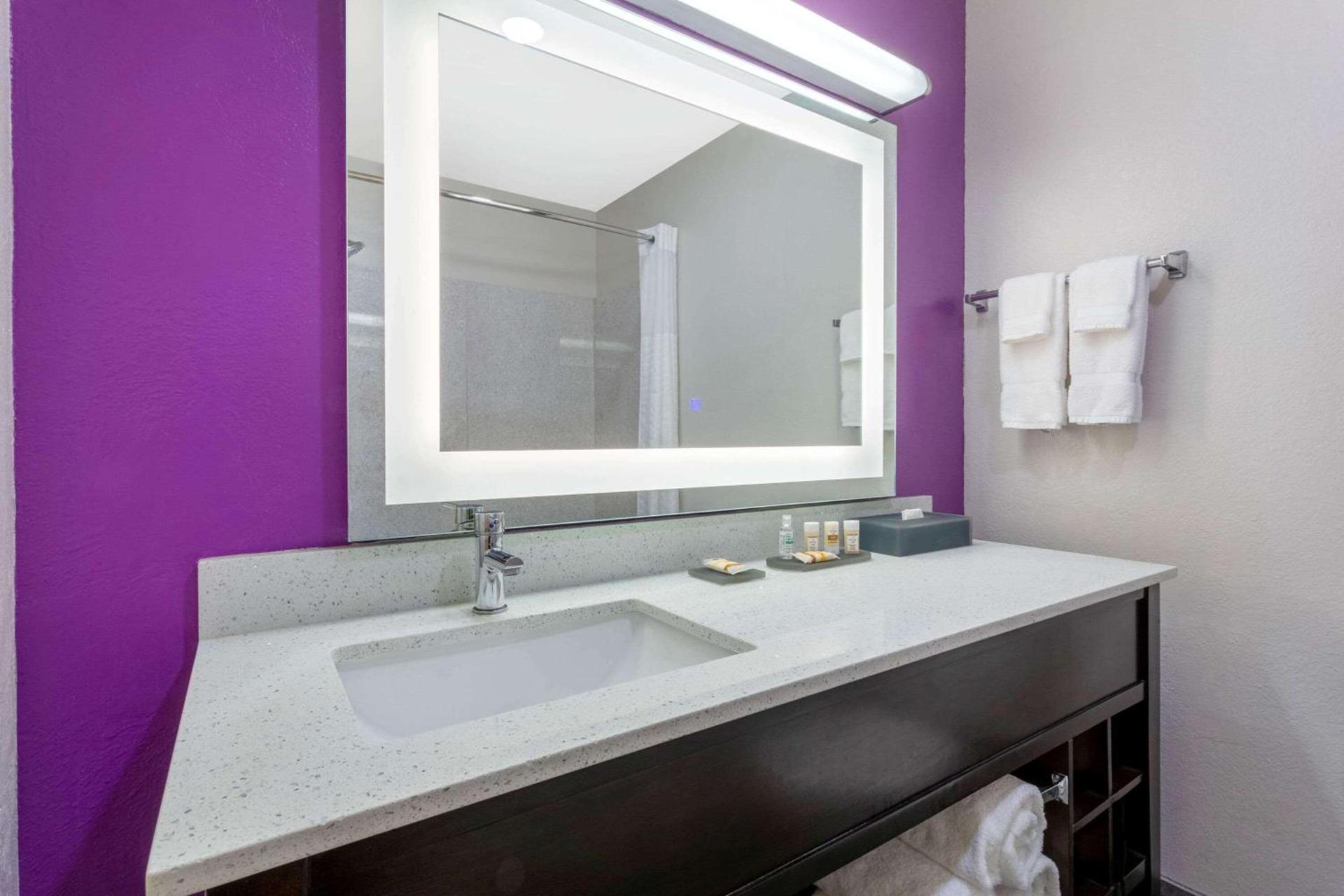 La Quinta by Wyndham Tampa Bay Area-Tampa South photo 22