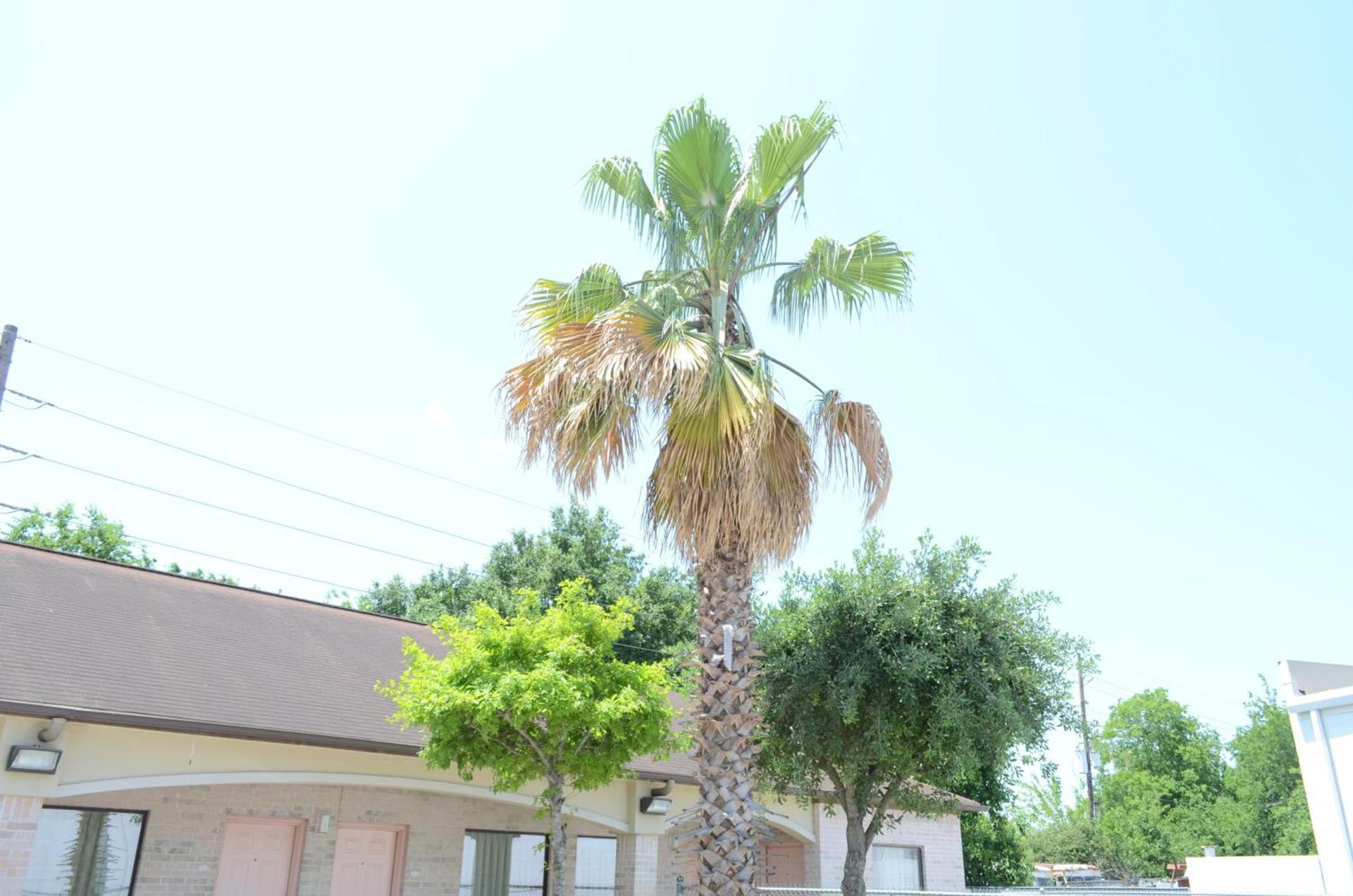 Texan Inn & Suites photo 15