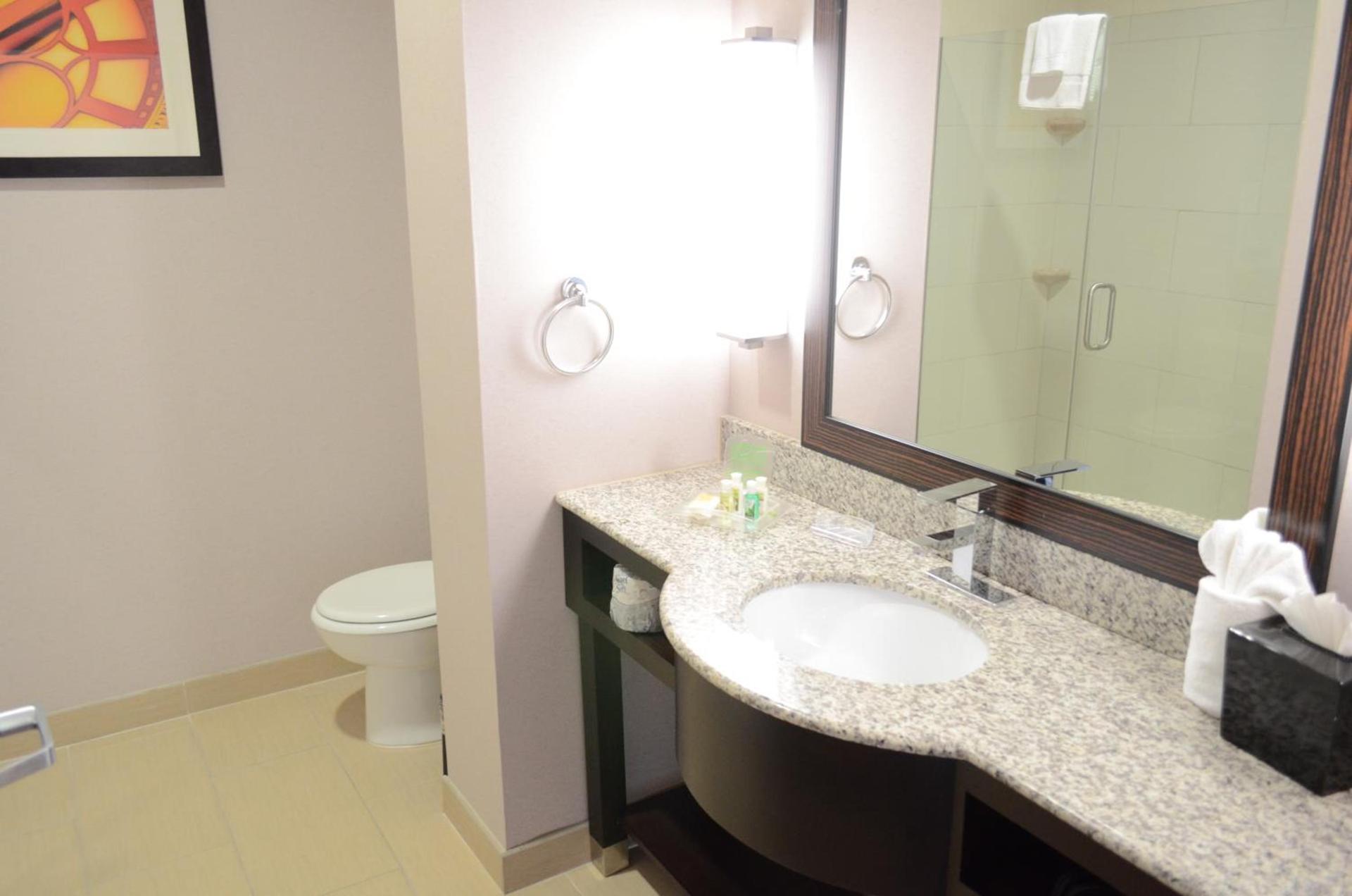 Holiday Inn & Suites Houston West - Westway Park by IHG photo 17
