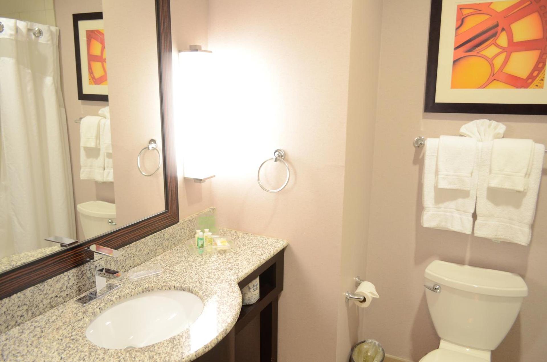 Holiday Inn & Suites Houston West - Westway Park by IHG photo 6