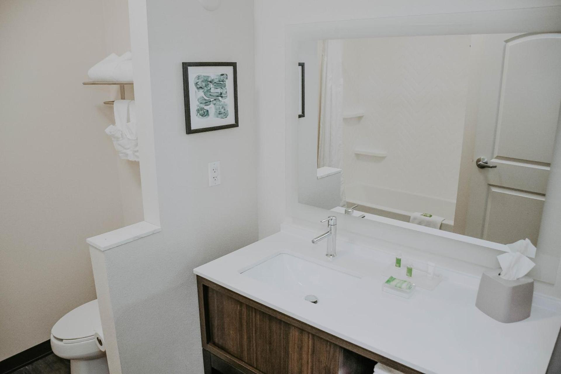 Holiday Inn Omaha Downtown - Waterpark by IHG photo 6
