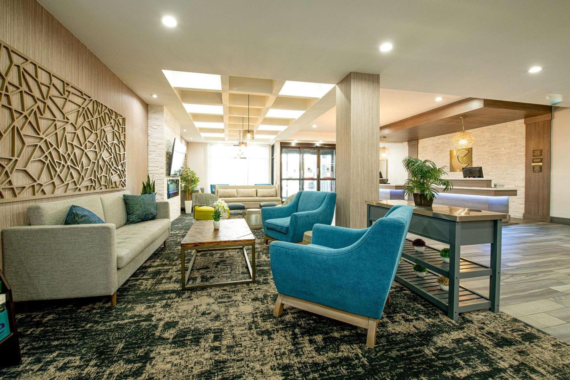 Comfort Suites Oil Center photo 3