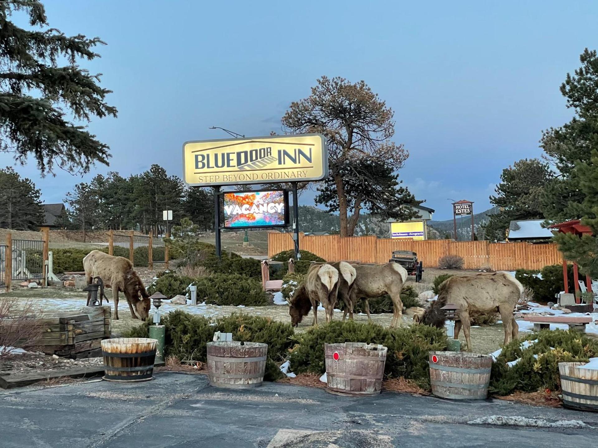 Blue Door Inn photo 90