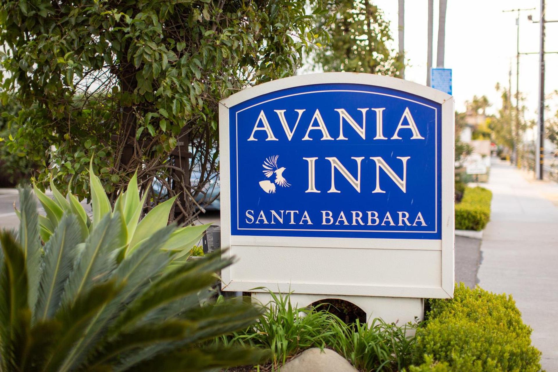 Avania Inn of Santa Barbara photo 3