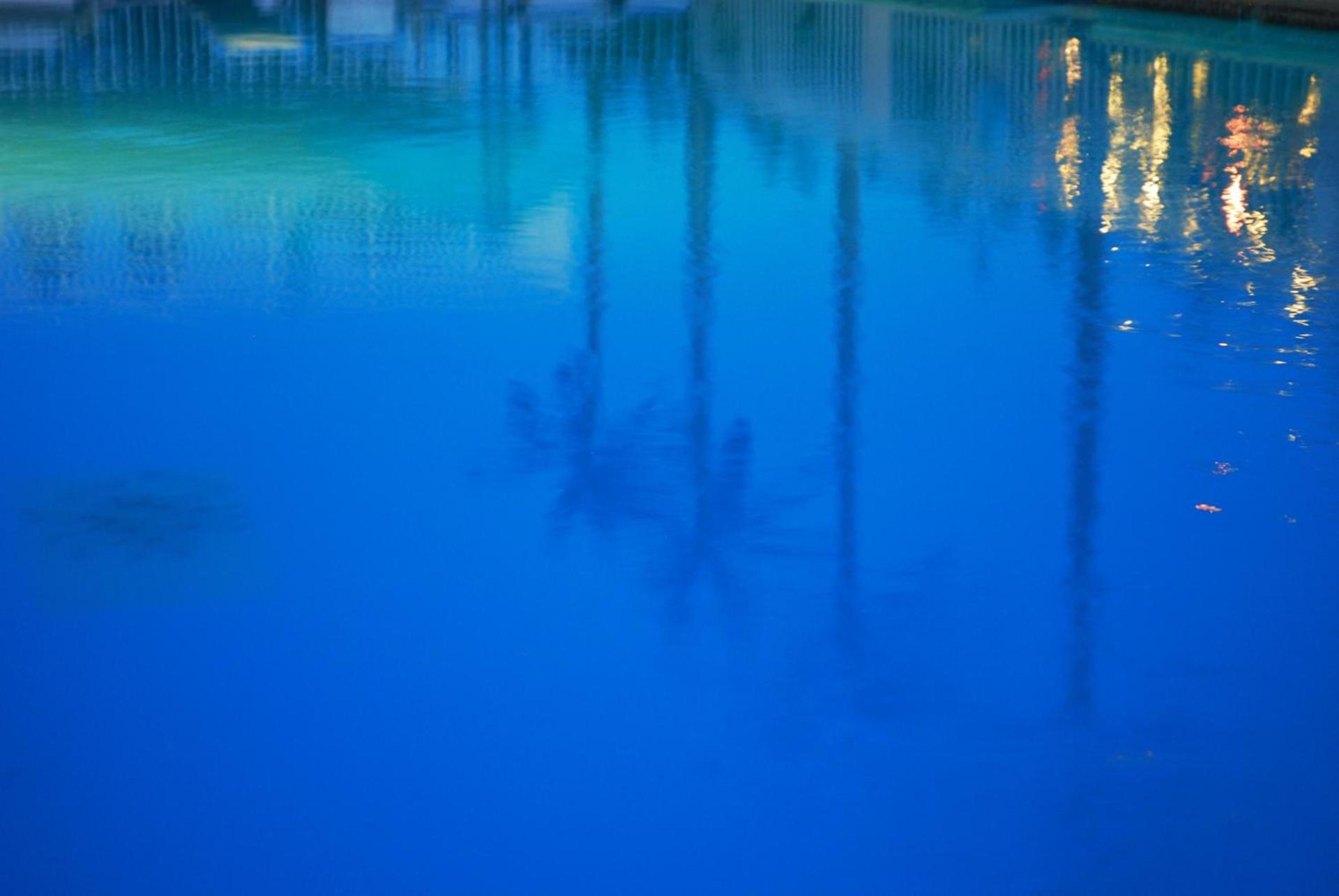 Shalimar Resort photo 10