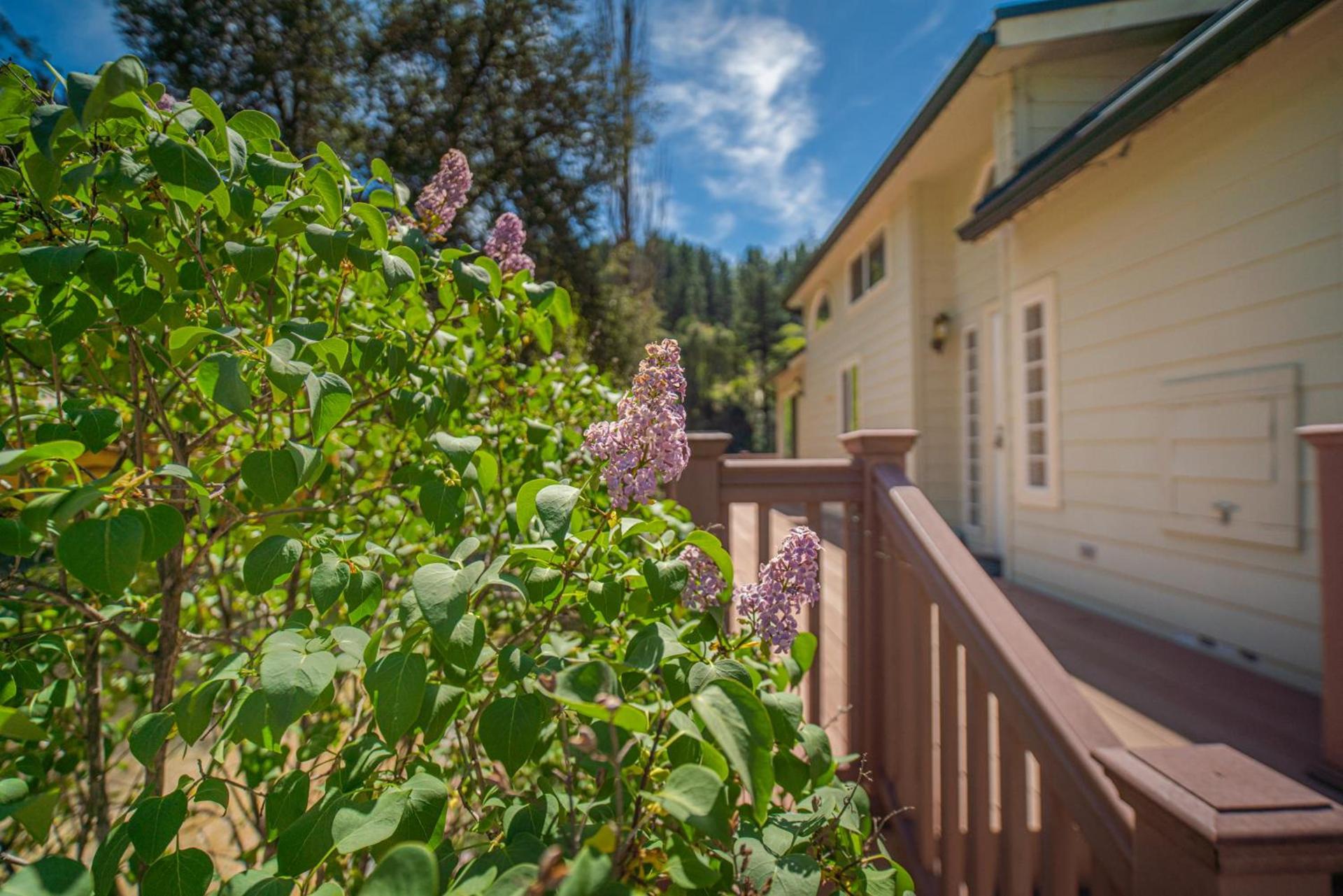 Strawhouse Resorts photo 48